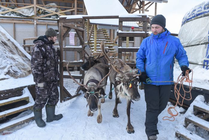 Оленья ферма в Дзержинском