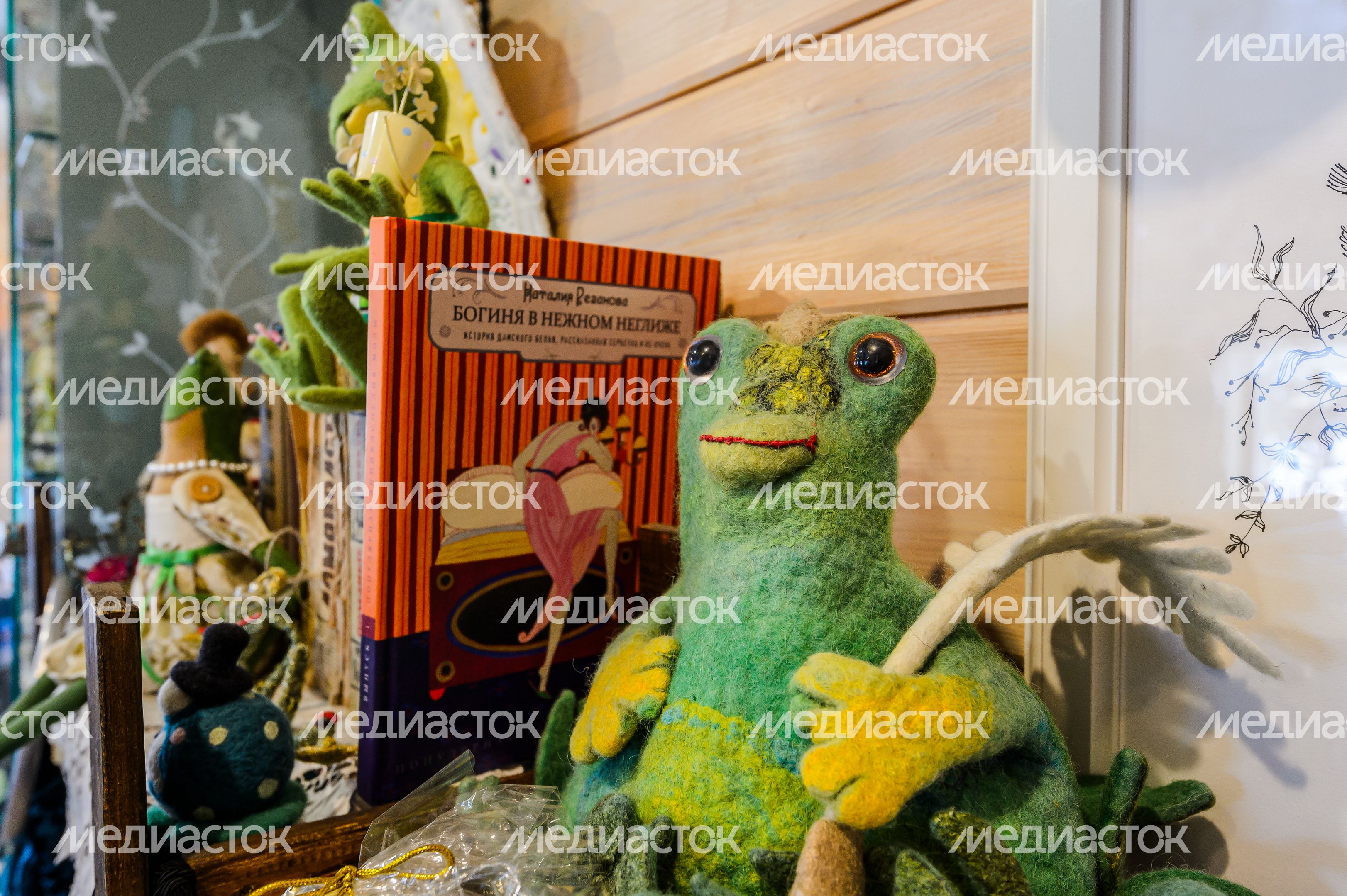 Музей дмитровской лягушки и Культурно-туристическая галерея "Мечта туриста"