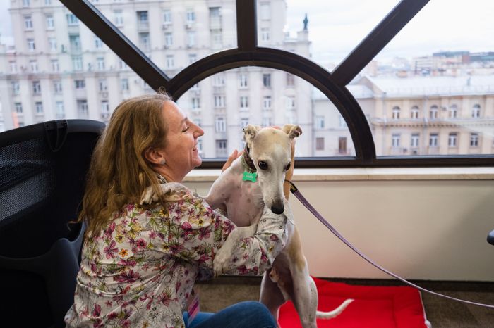 Pet‑friendly офис Purina