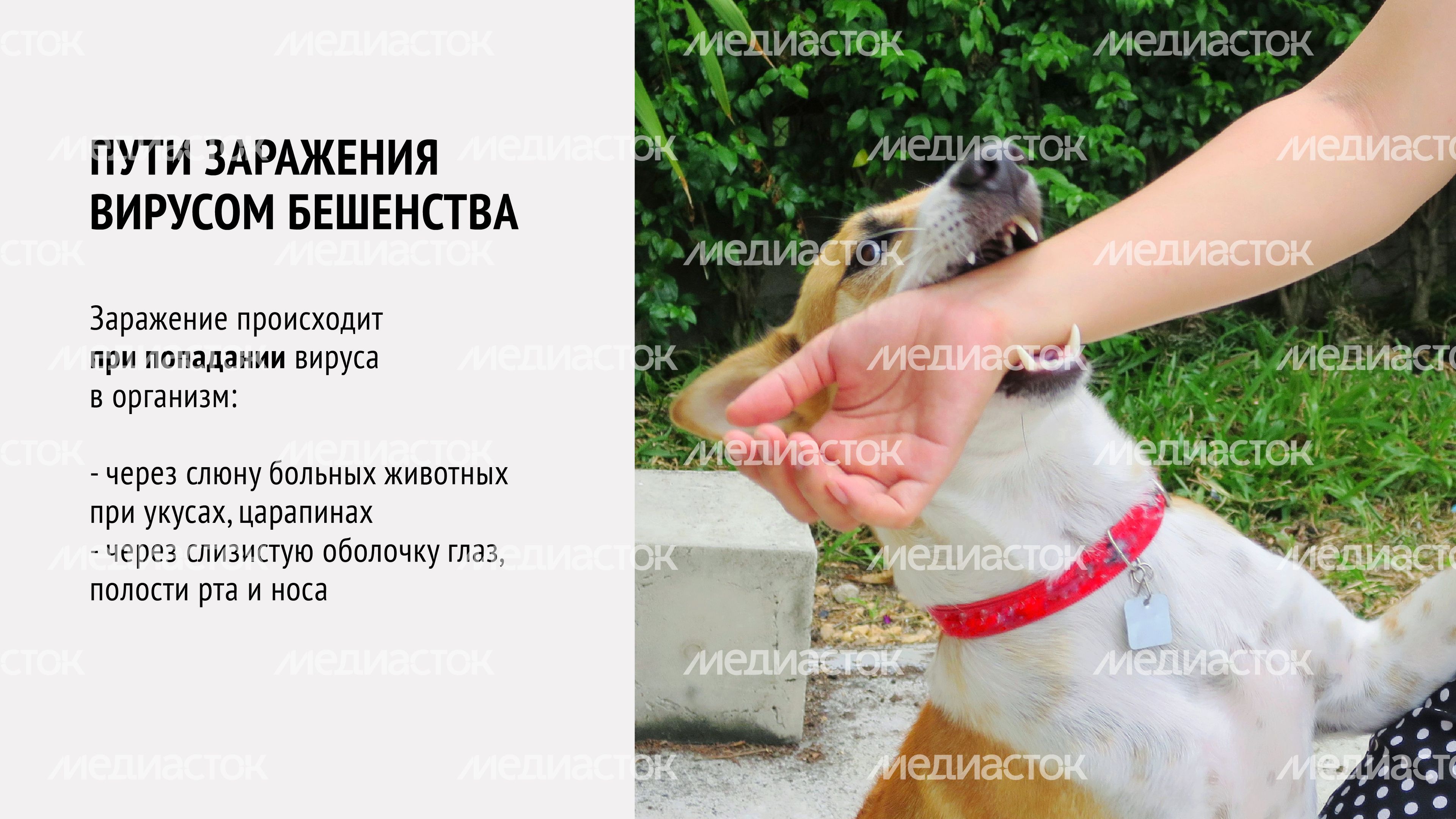 Вакцинация