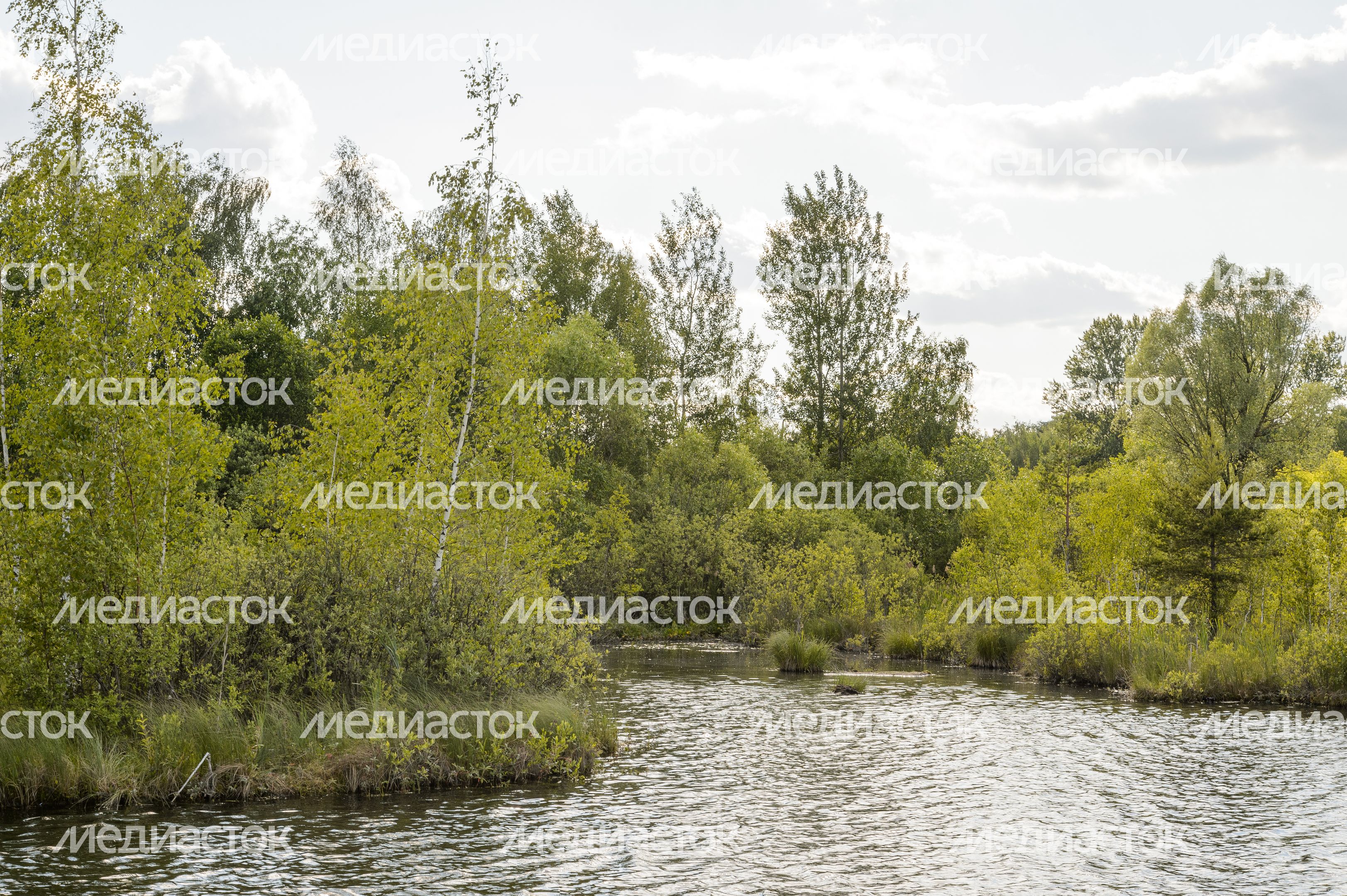 Озеро Бабошкино