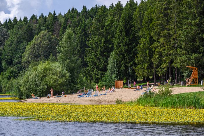 Лесопарк «Загорское море» открыли летом в Сергиевом Посаде