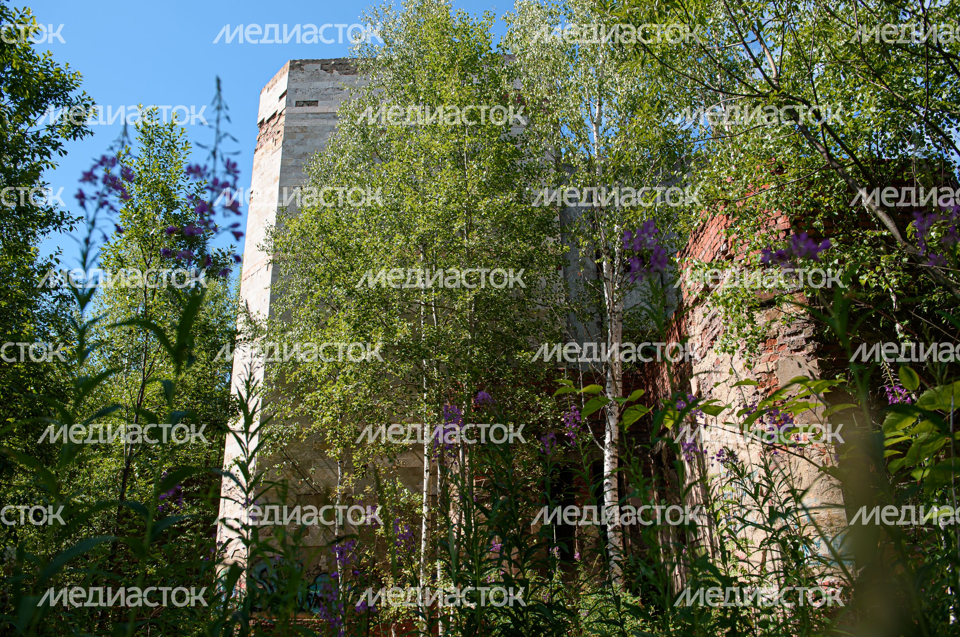Недостроенная больница в Хотьково