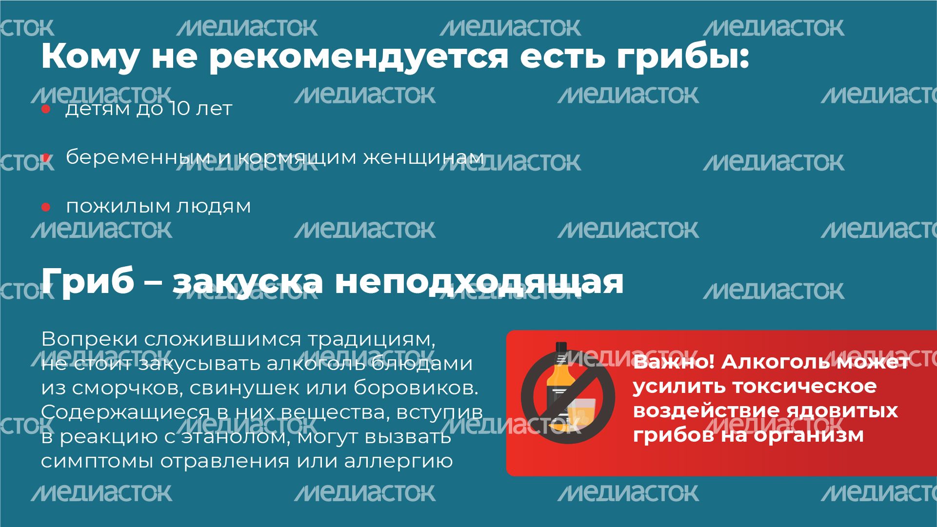11 Горизонталь_грибы_10-100