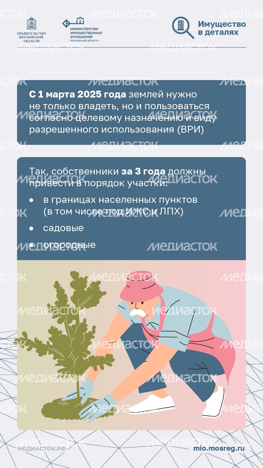 Освоение участка за 3 года вертикаль 02 Освоение участка за 3 года вертикаль 02