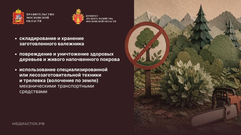 Валежник для собственных нужд горизонталь 08