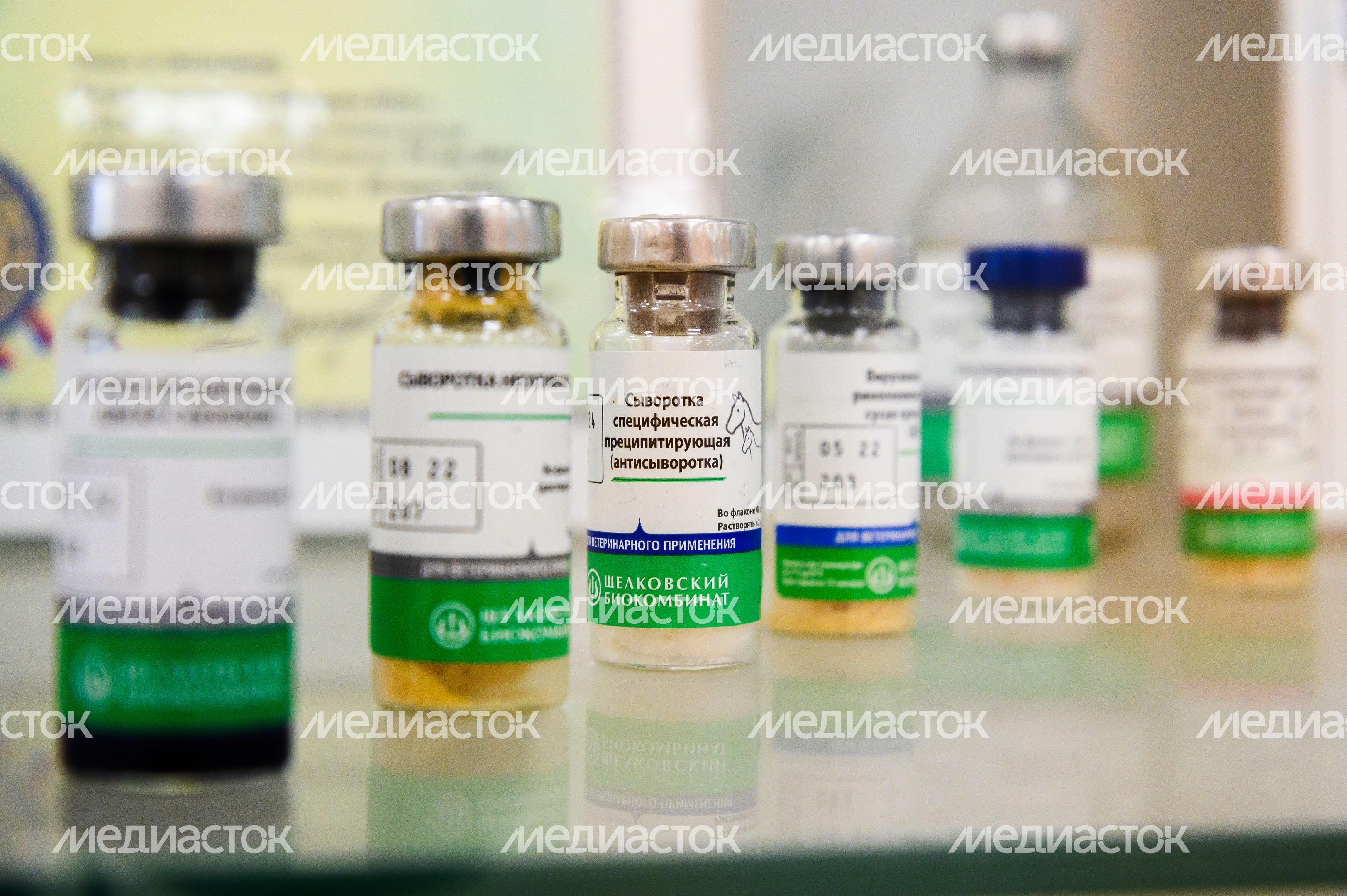 Щелковский биокомбинат в Лосино-Петровском округе Щелковский биокомбинат в Лосино-Петровском округе