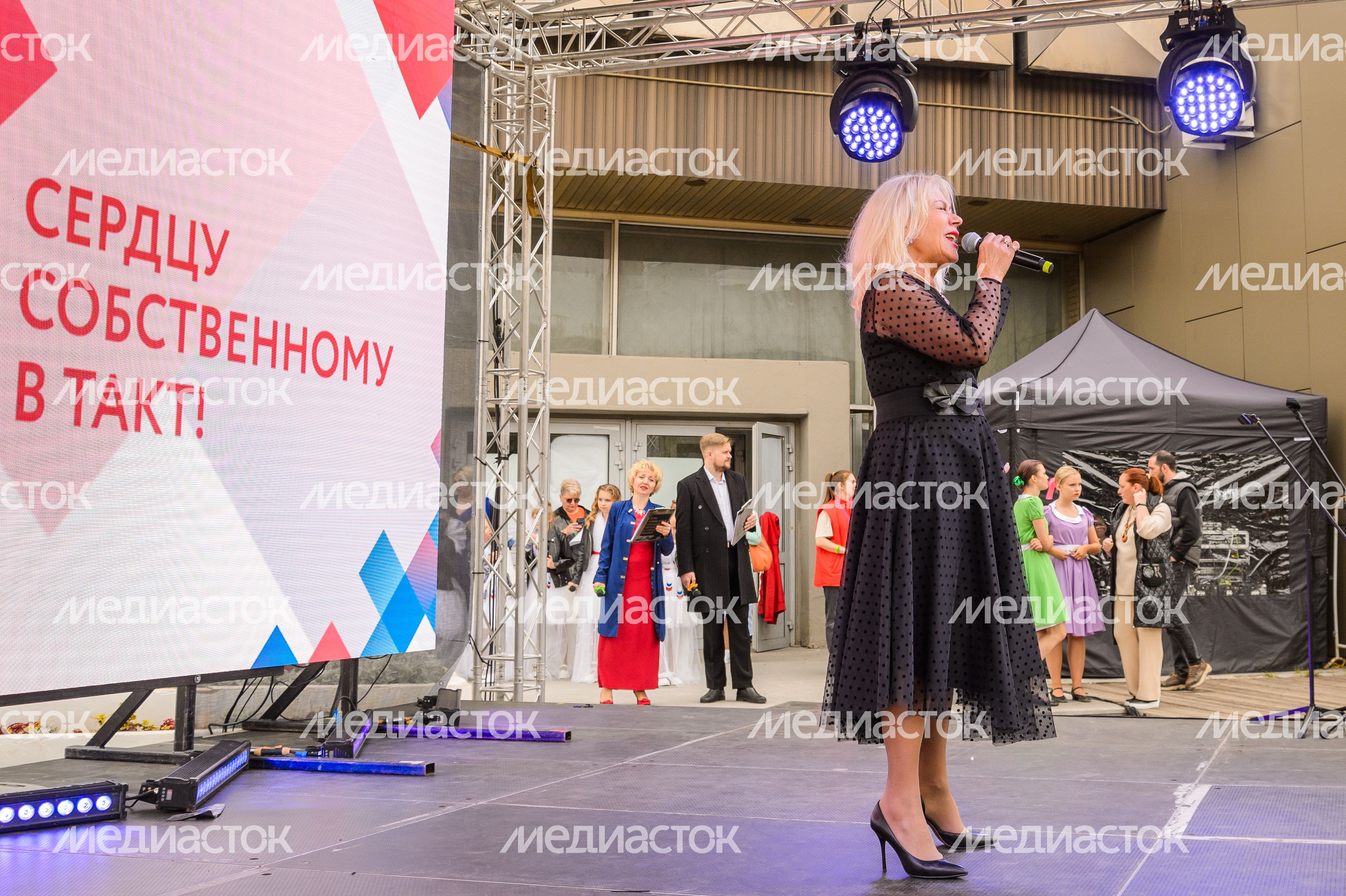 Видное. День города