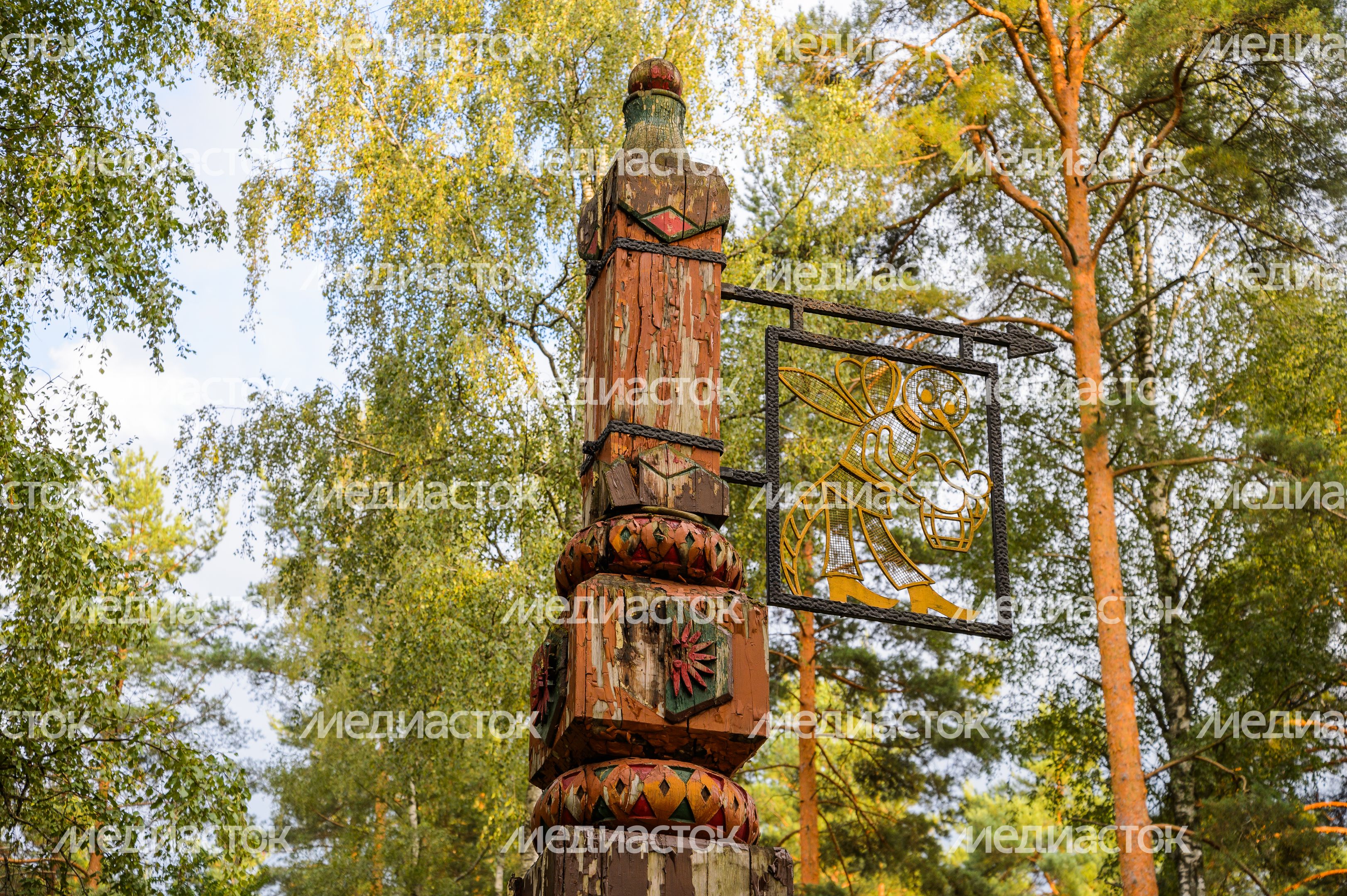 Черноголовка. Озеро Южное