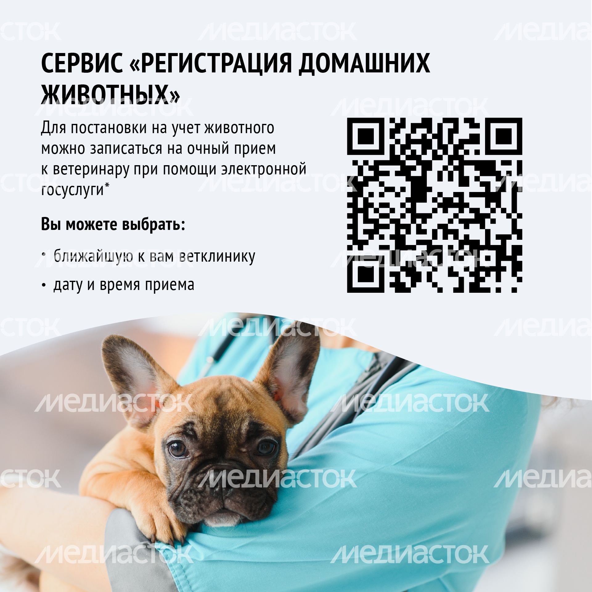 Зарегистрировать домашнее животное ред 2-квадрат-06.png Зарегистрировать домашнее животное ред 2-квадрат-06.png