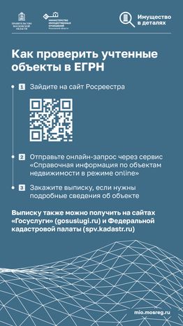 Ранее возникшее право на недвижимость-вертикаль-07.png