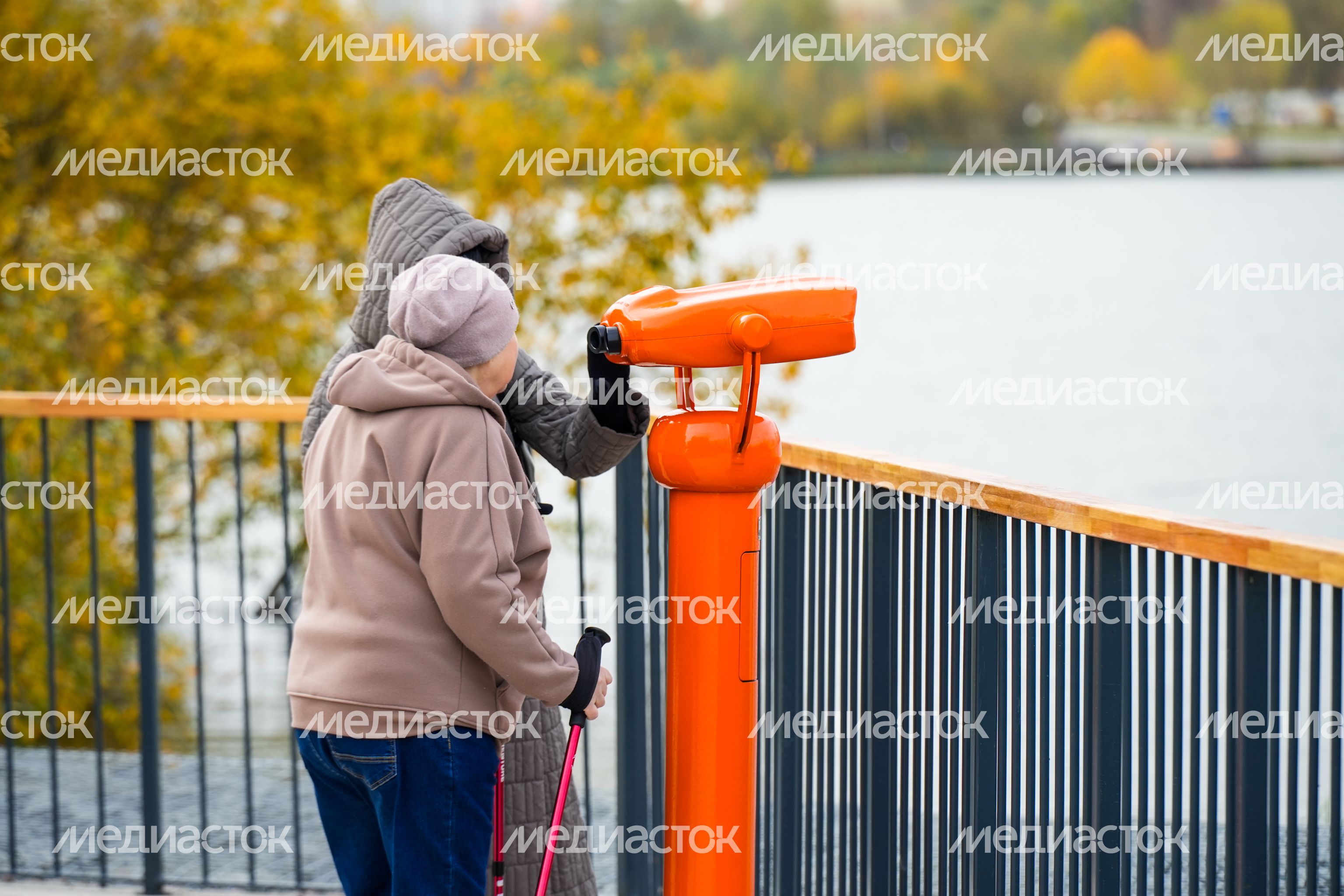 В Люберцах благоустроили парк "Дружба" с пешеходным мостом через озеро Черное В Люберцах благоустроили парк "Дружба" с пешеходным мостом через озеро Черное