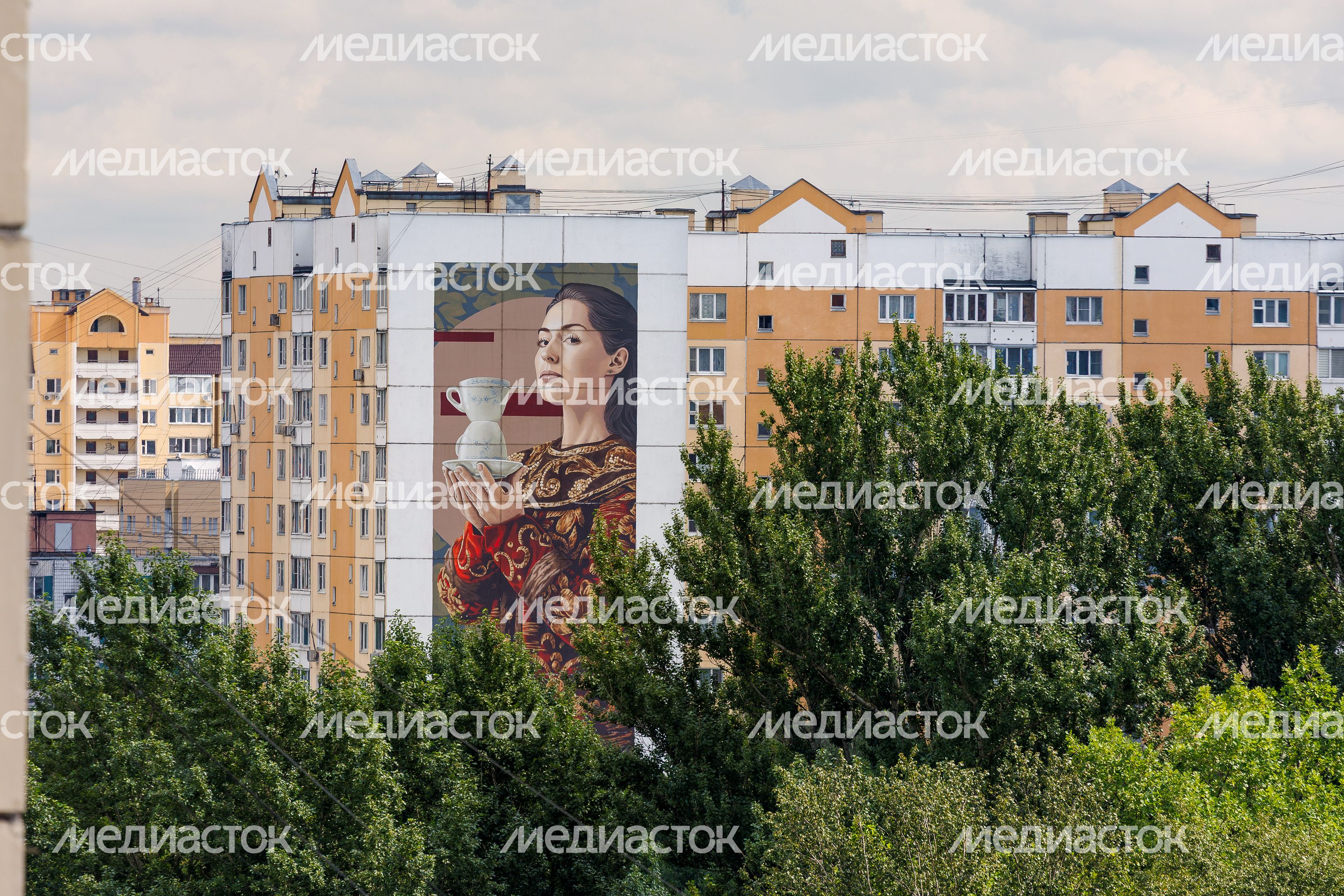 Муралы в Железнодорожном, Балашиха