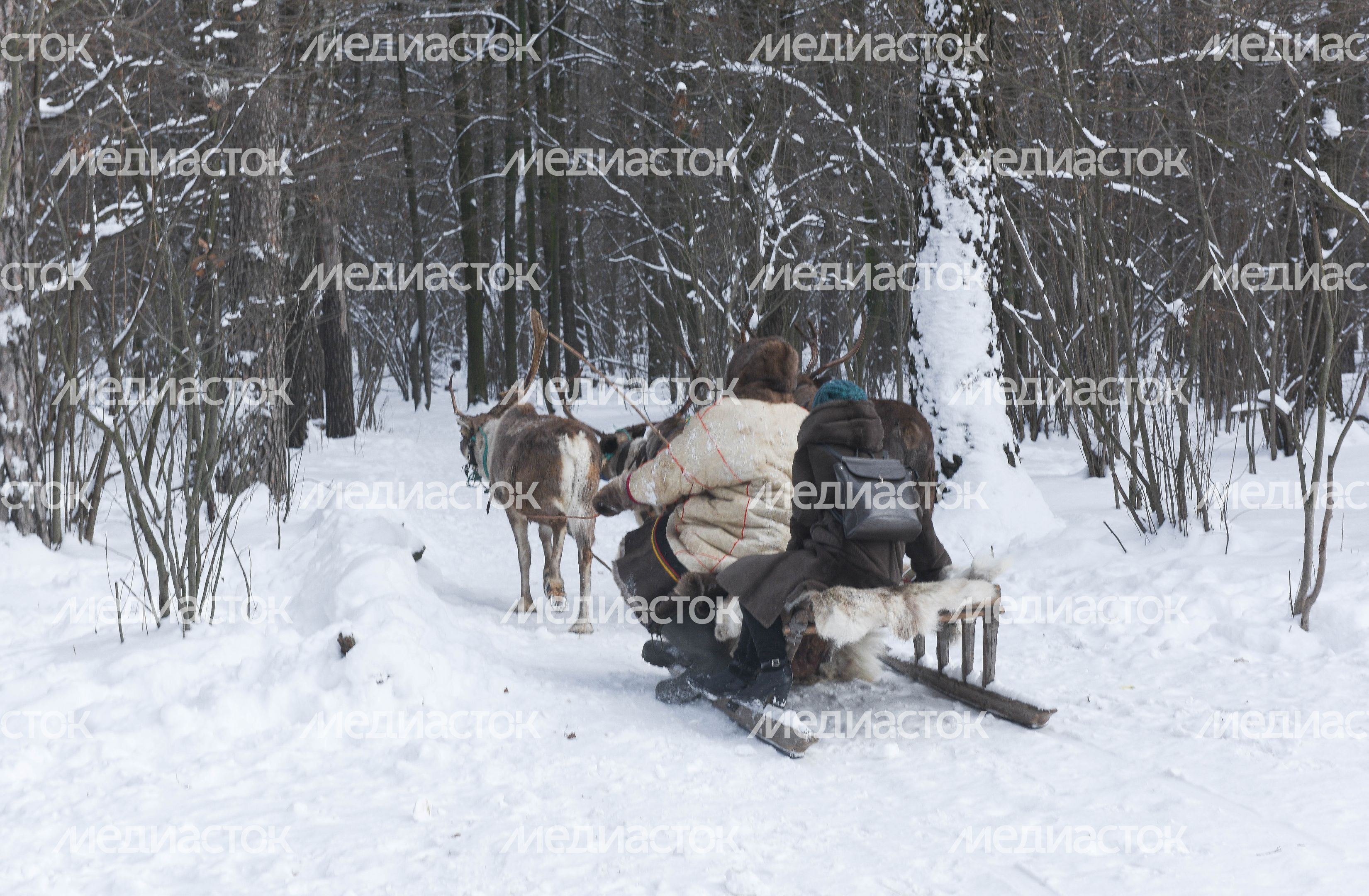 Оленья ферма в Дзержинском