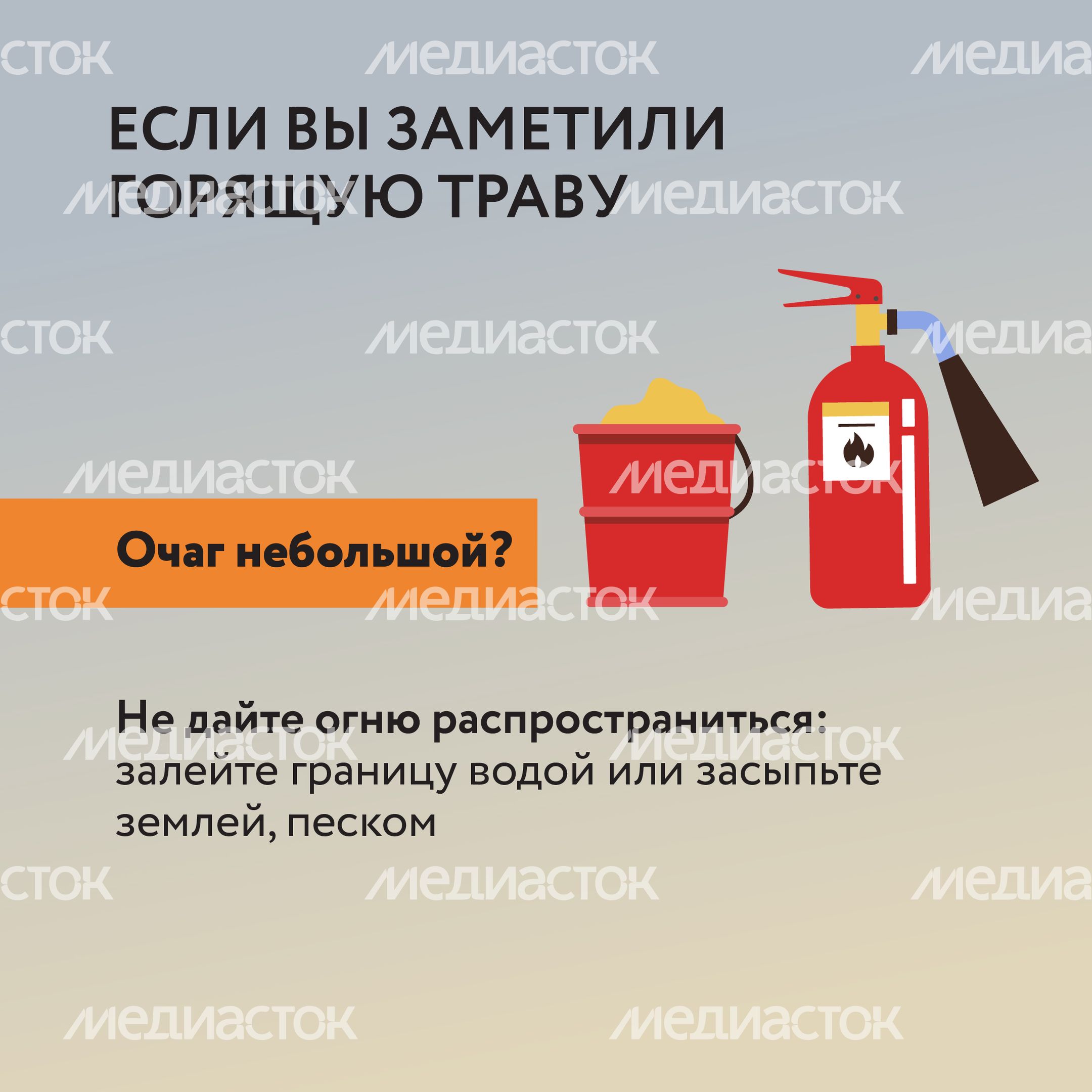 Пал травы-16.jpg