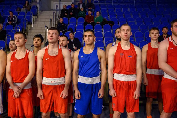 Всероссийские соревнования по боксу в Люберцах