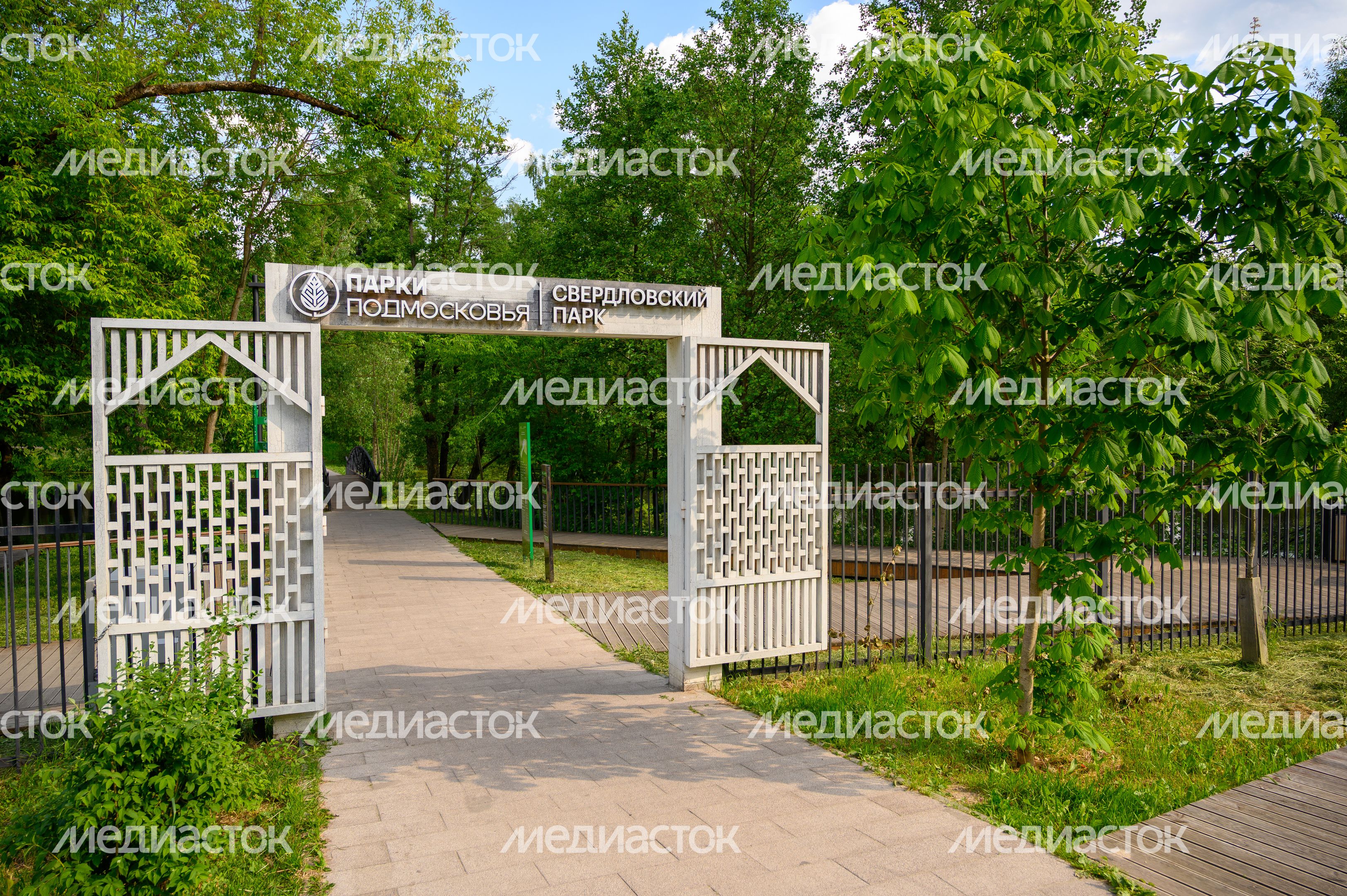 Лето в парке культуры и отдыха «Свердловский» в поселке Свердловский округа Лосино-Петровский Лето в парке культуры и отдыха «Свердловский» в поселке Свердловский округа Лосино-Петровский