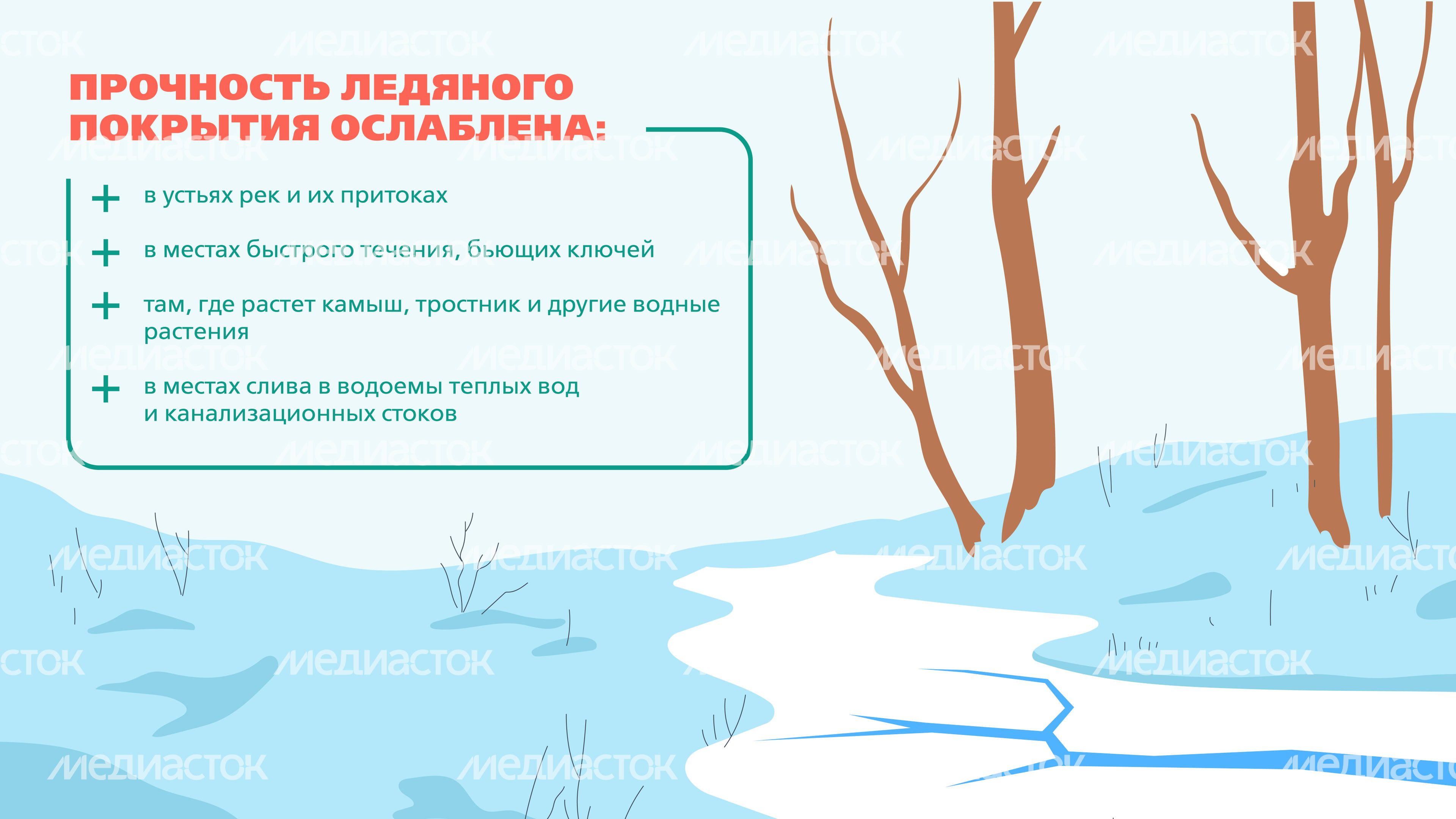 Тонкий лед_2024_Горизонталь-05