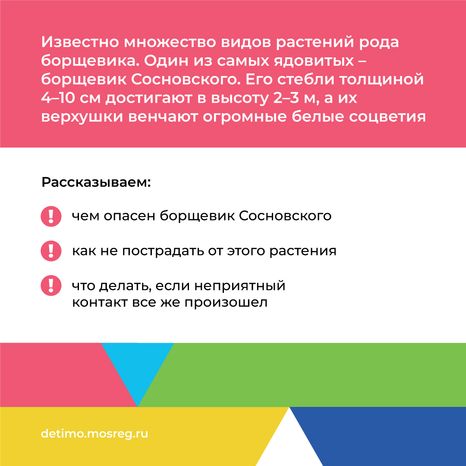 Квадрат_Борщевик Сосновского_02.png
