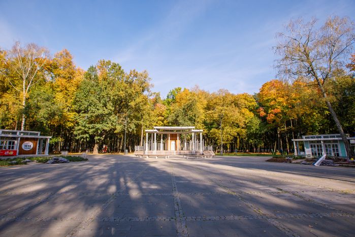 Воскресенск. Парк усадьбы Кривякино