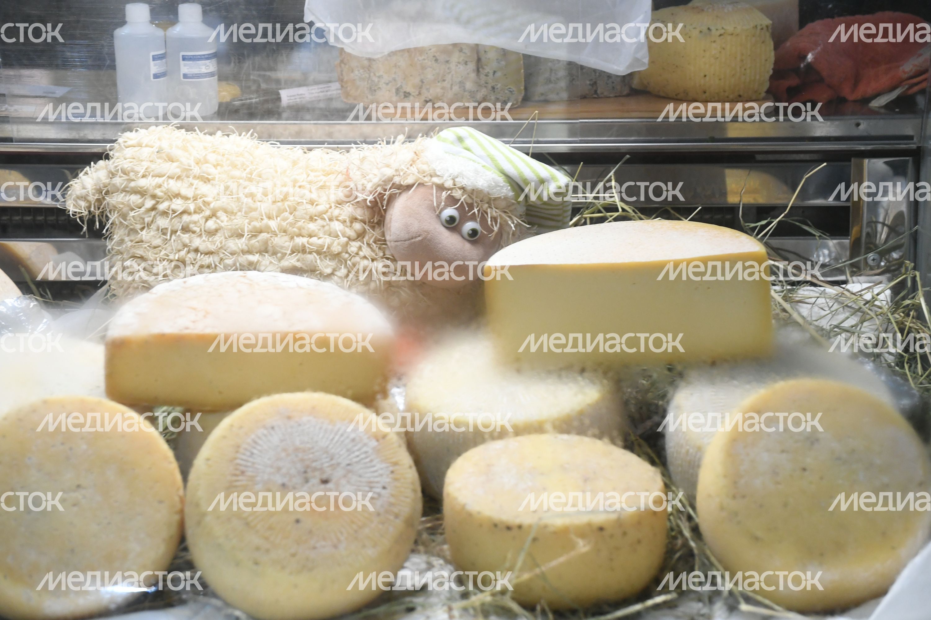 Открытие IV Всероссийского фестиваля фермерской продукции «Сыр. Пир. Мир»