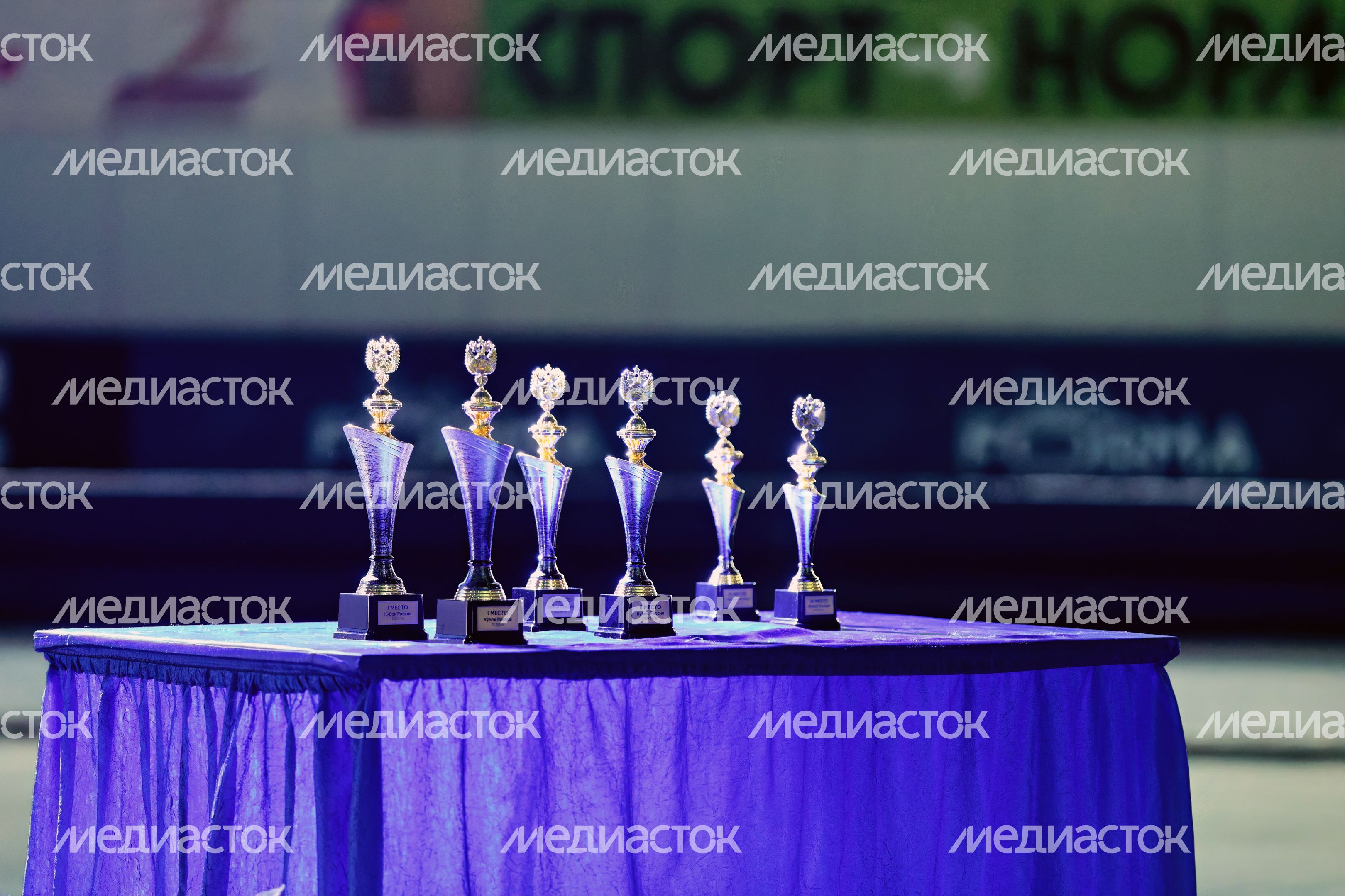 Награждение финалистов Кубка России по конькобежному спорту в Коломне Награждение финалистов Кубка России по конькобежному спорту в Коломне