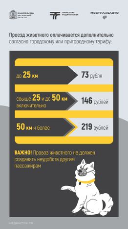 Правила перевозки животных вертикаль 06