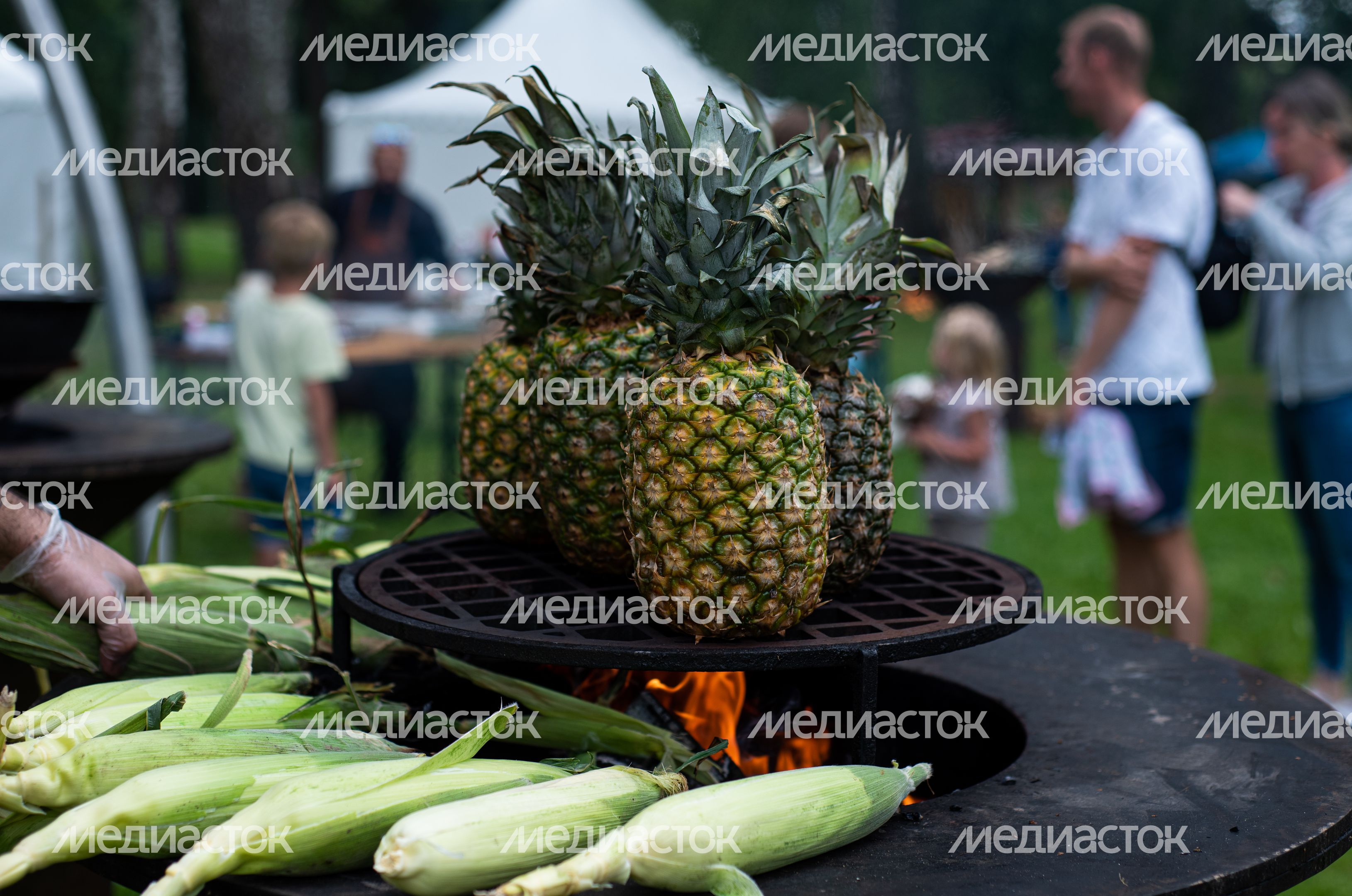 Гастрономический фестиваль Alpaca Wellbeing Fest