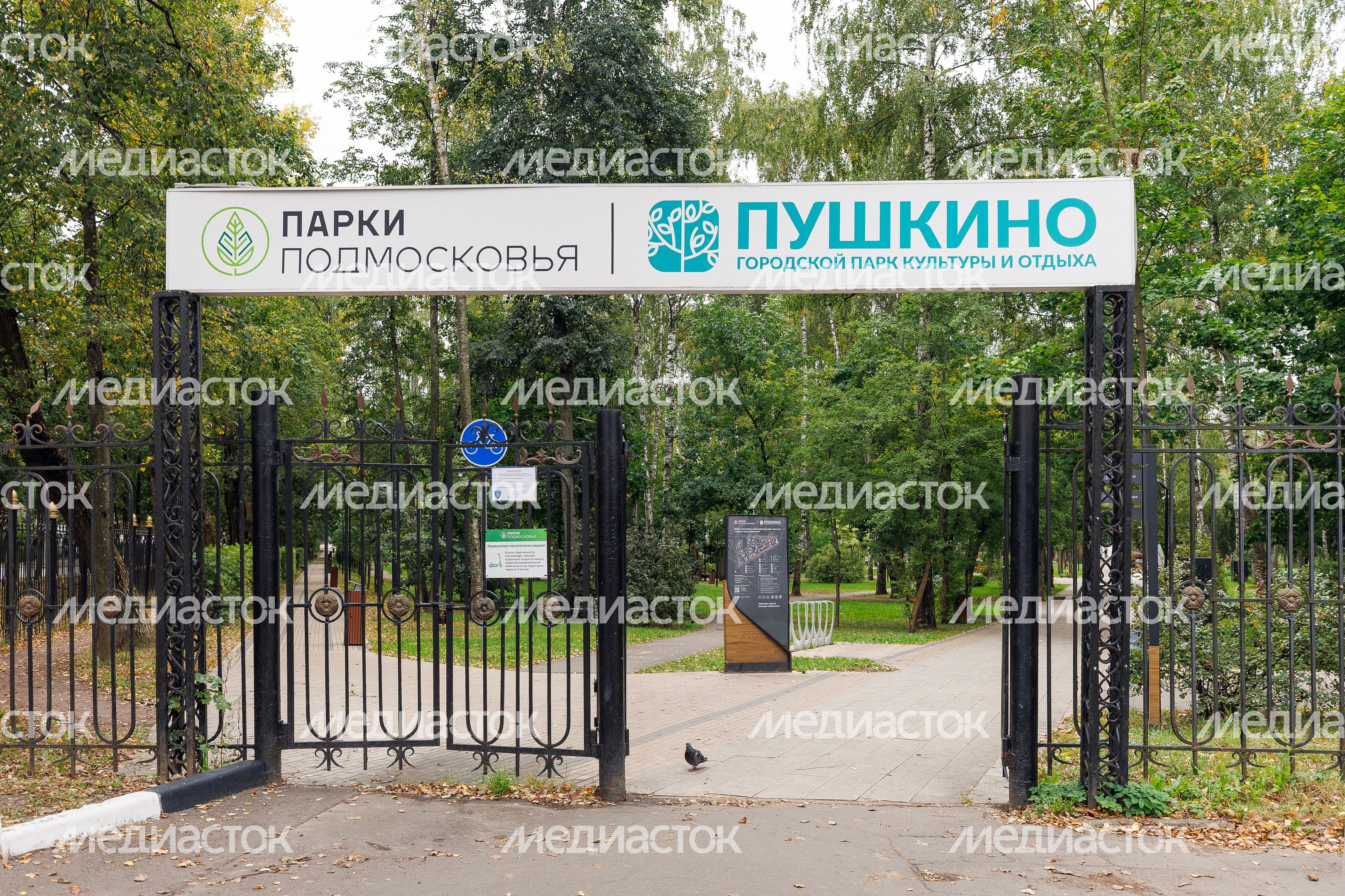 Центральный парк культуры и отдыха Пушкино