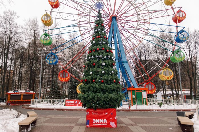 Центральный парк культуры и отдыха города Видное зимой