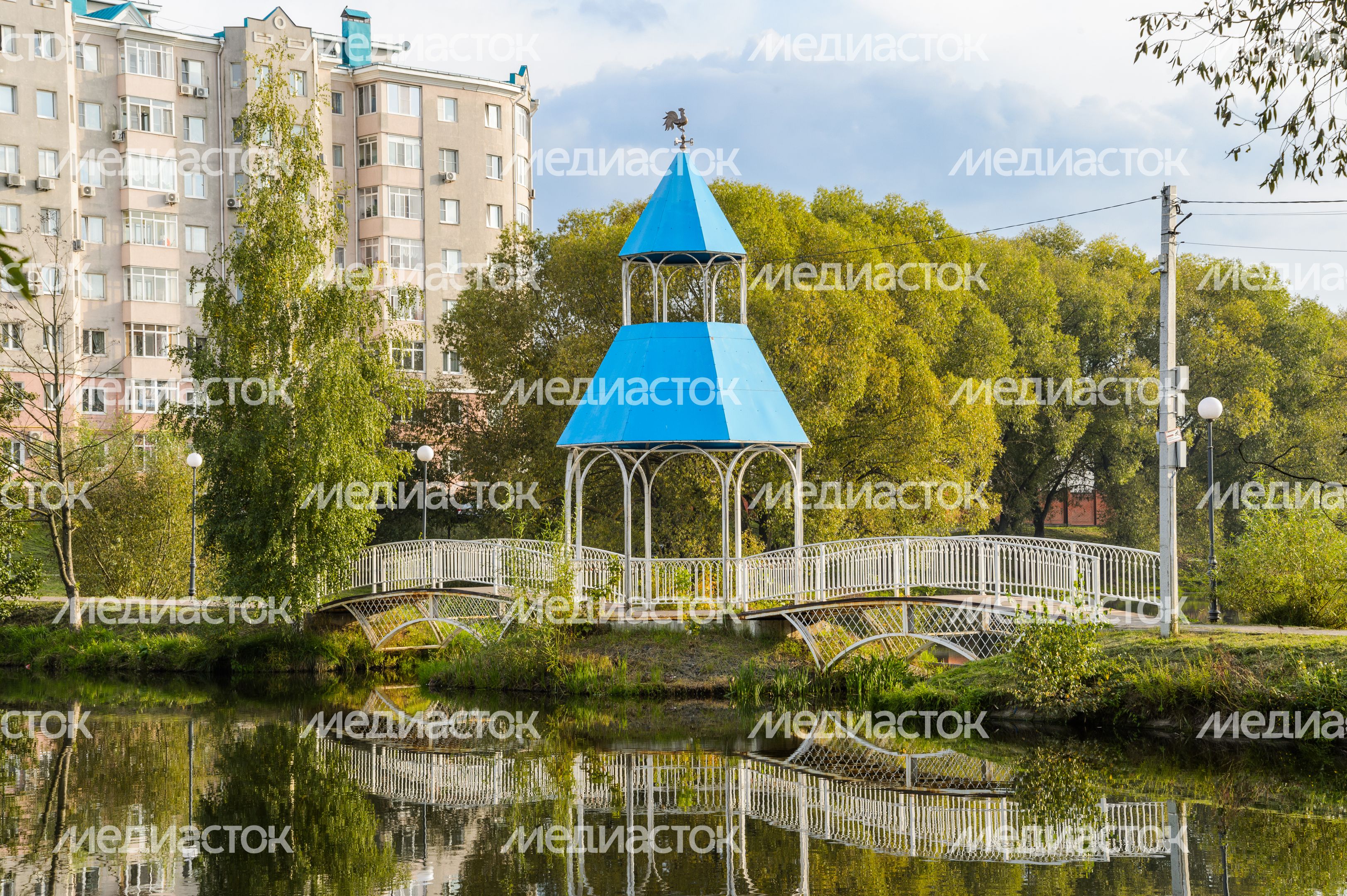 Бронницы. Кожурновский пруд Бронницы. Кожурновский пруд