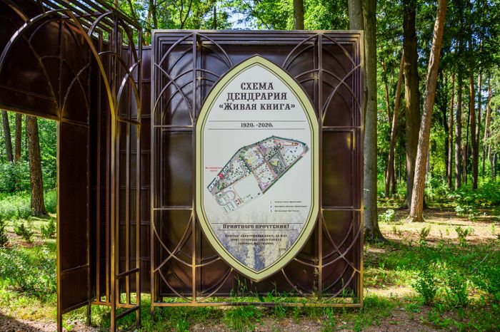 Дендрарий "Живая книга" в Ногинске