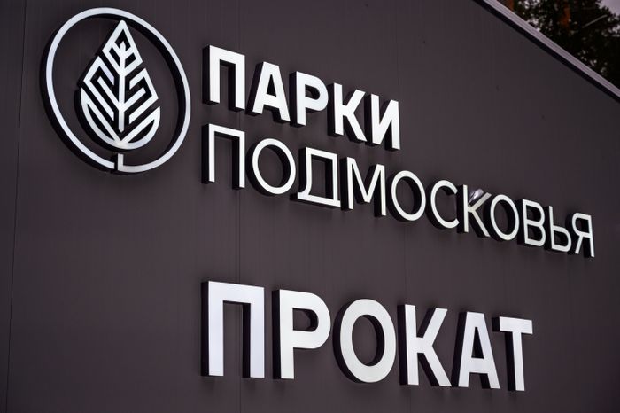 Зимний Пестовский парк в Балашихе