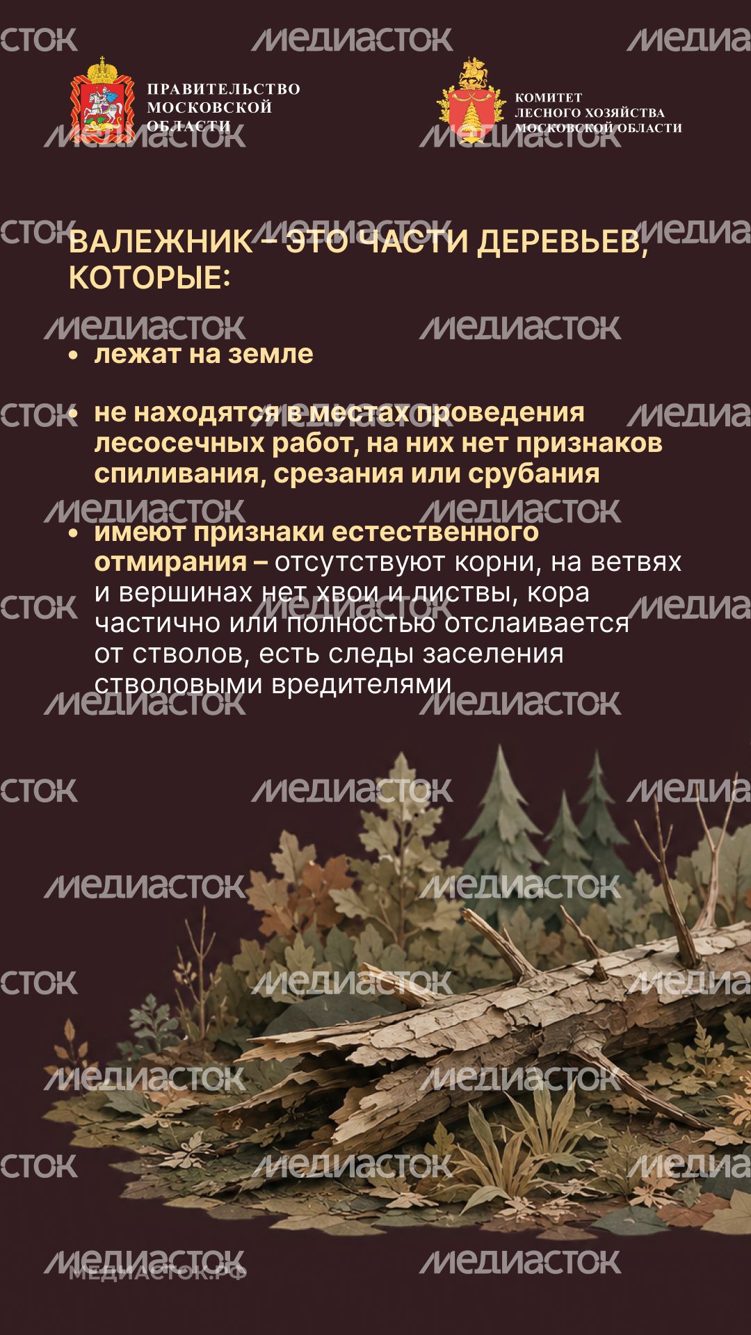 Недревесные ресурсы для собственных нужд Вертикаль 04
