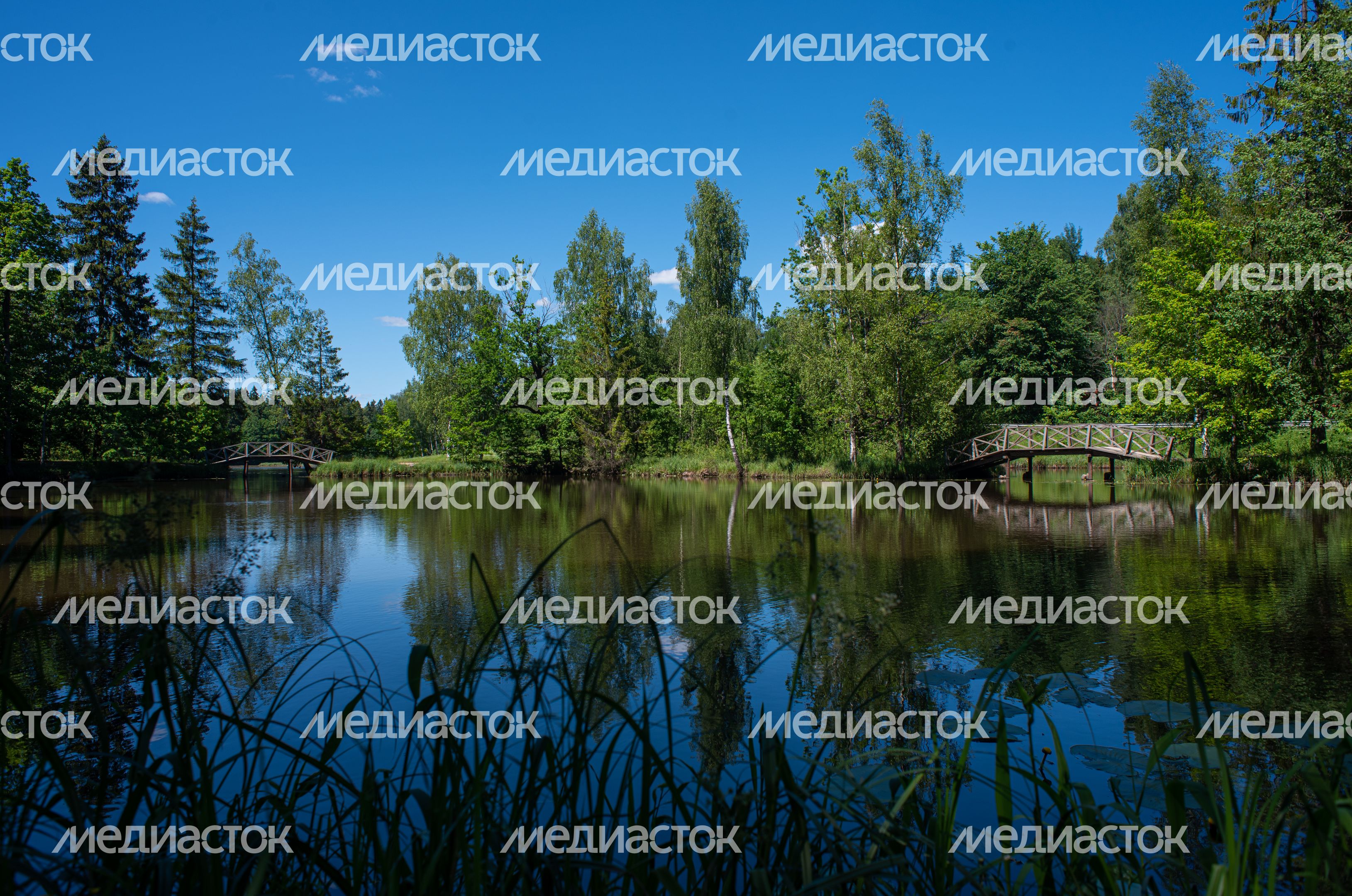 Летние виды Музея-заповедника «Абрамцево»