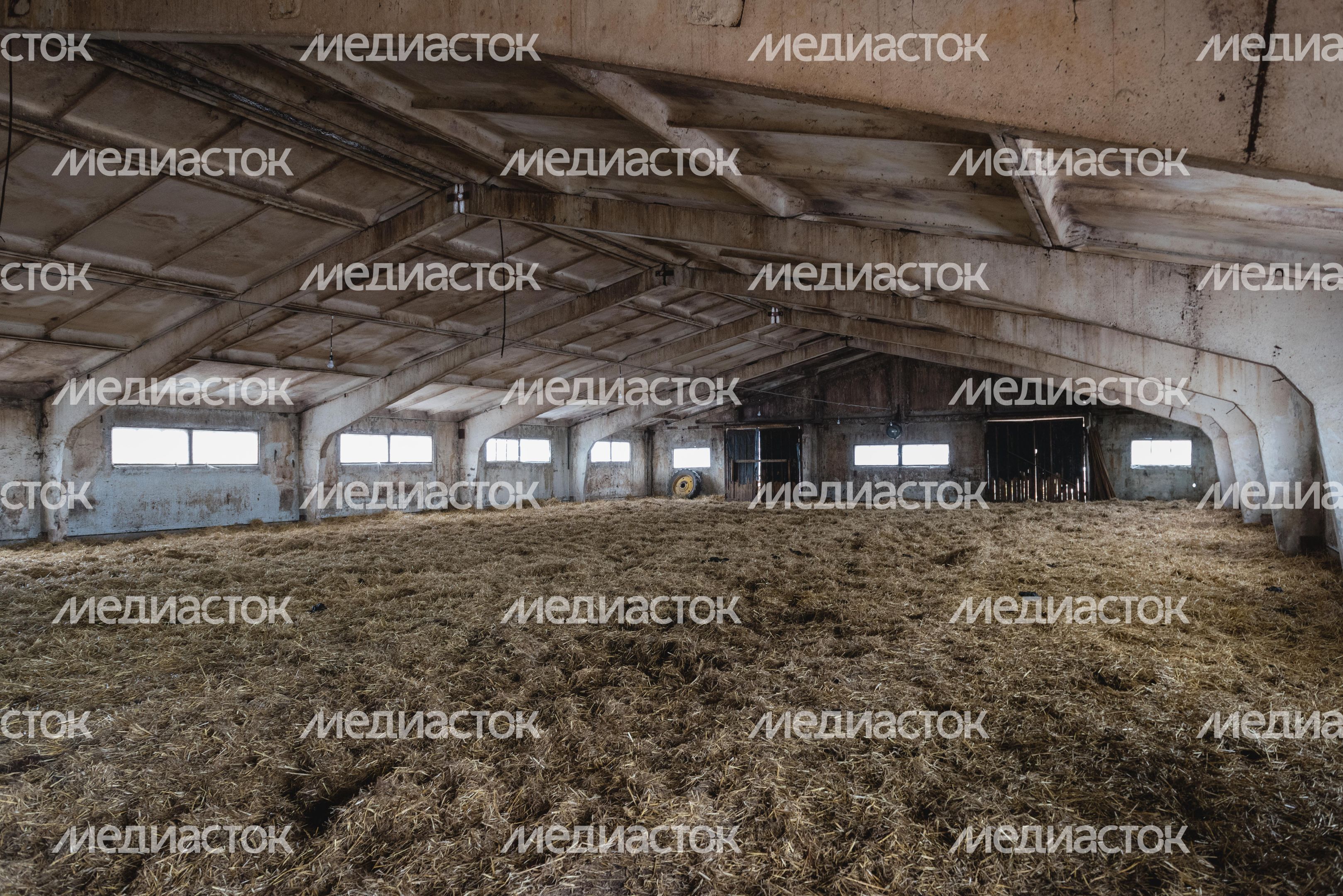 Конюшня-приют «Шанс на жизнь» в Клинском районе Подмосковья