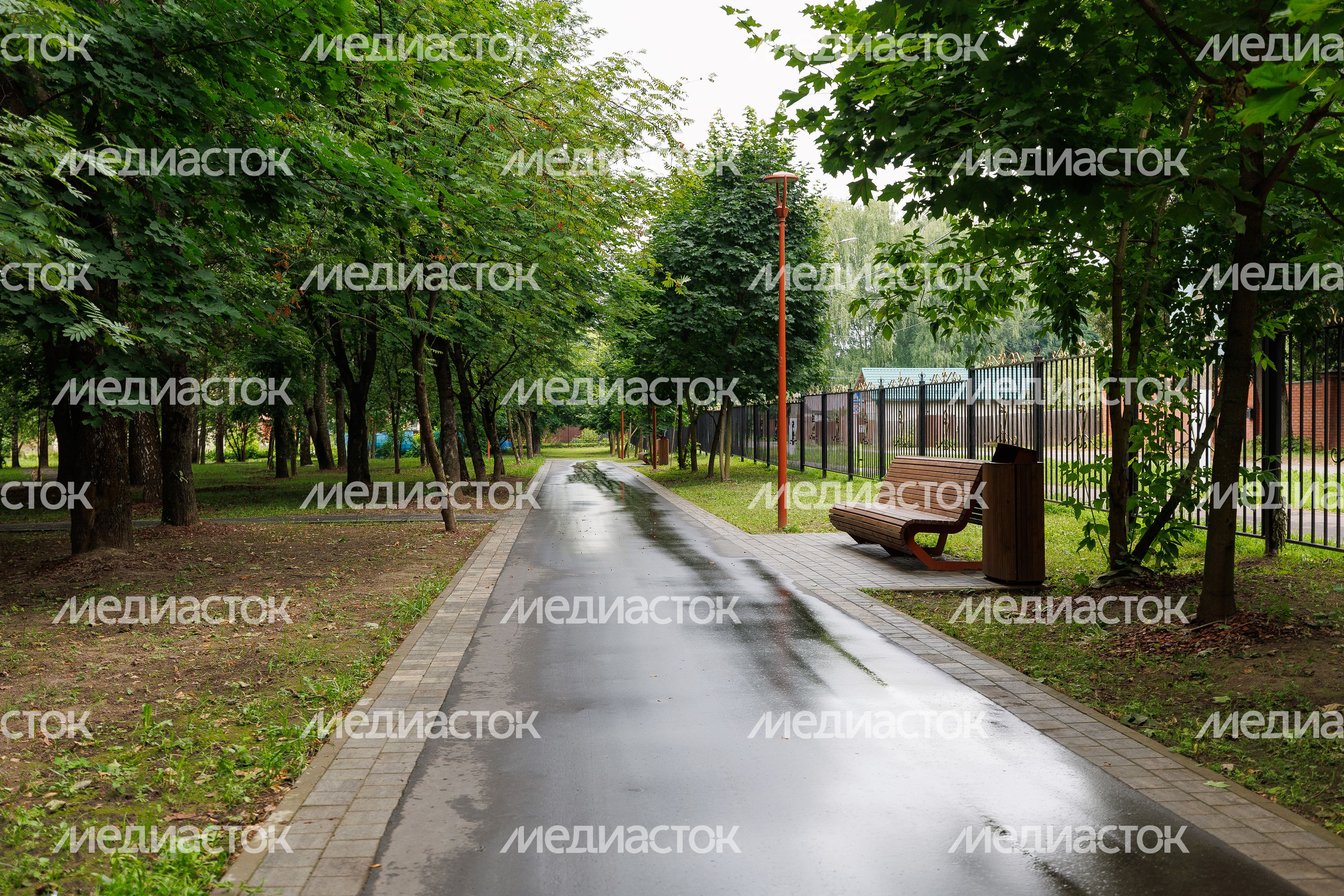 Парк "Липовая аллея" в Электроуглях