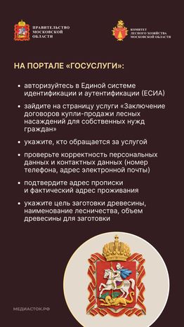 Как заготовить древесину вертикаль 06