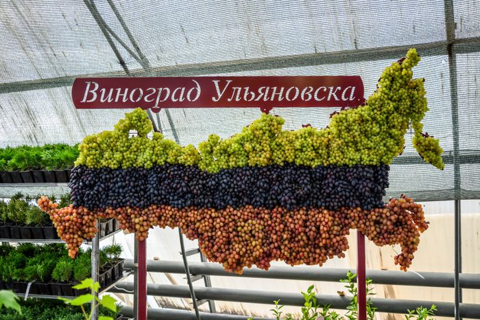 Международная выставка посадочного материала для профессионалов зеленой отрасли 2024 в Раменском округе