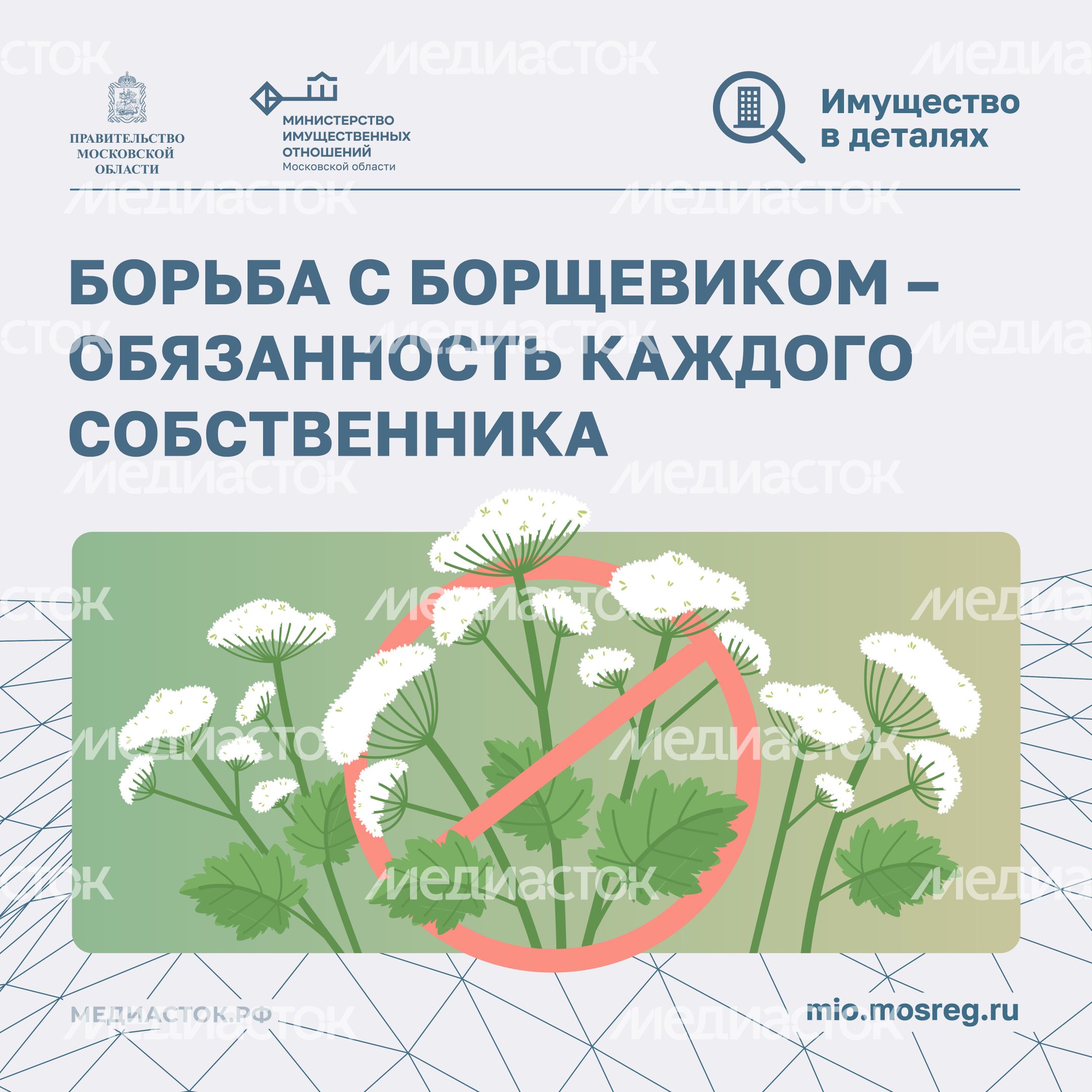 Борьба с борщевиком квадрат 01 Борьба с борщевиком квадрат 01