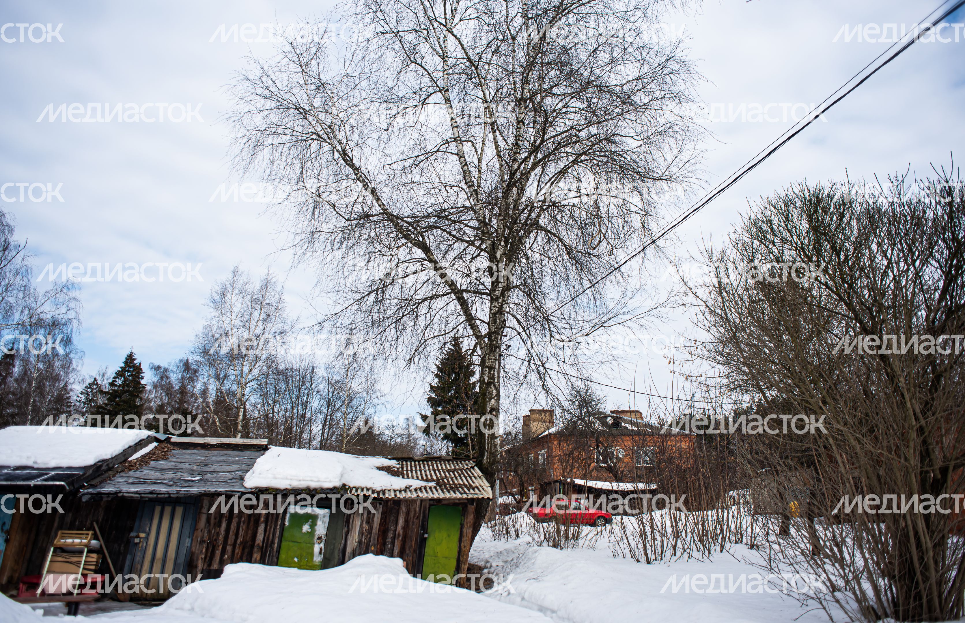 Зимние виды деревни Гребнево