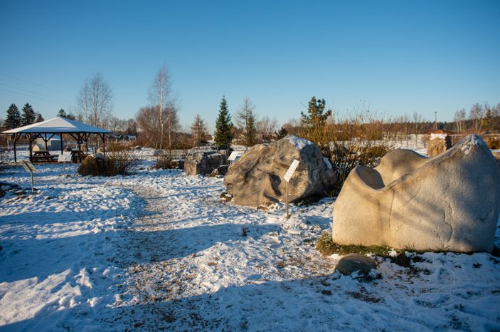 Зимний Парк Птиц «Воробьи»