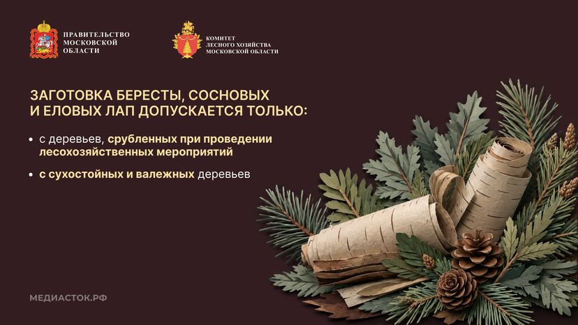 Недревесные ресурсы для собственных нужд Горизонталь 06