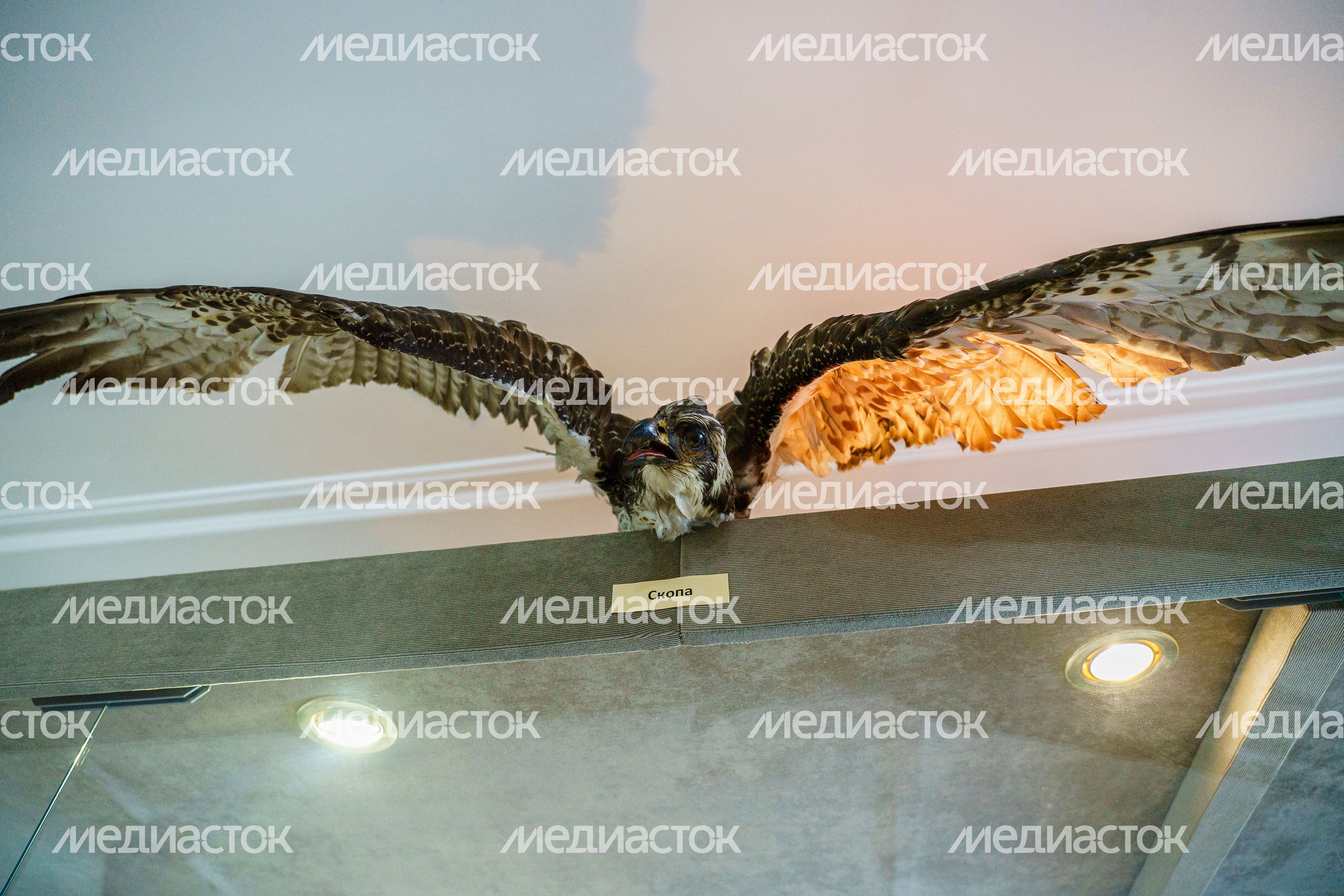 Коломенский краеведческий музей