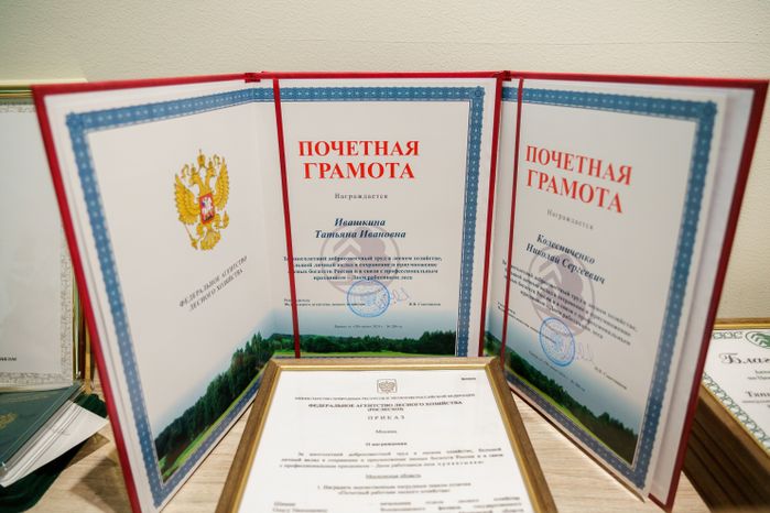 96 специалистов лесного хозяйства наградили ко Дню работников леса в Подмосковье
