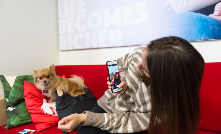 Pet‑friendly офис Purina