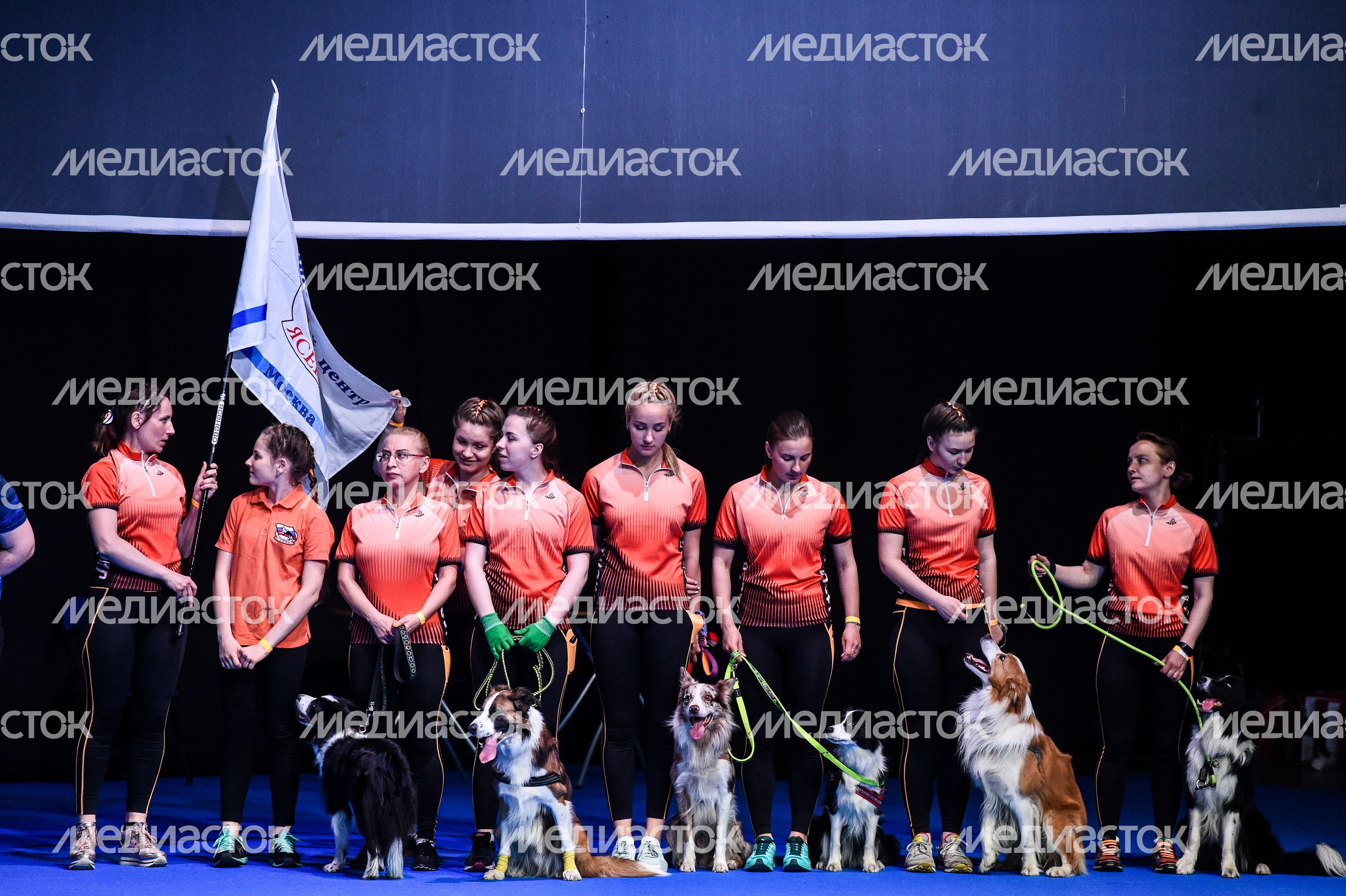 Выставка собак Евразия‑2018 прошла в Подмосковье