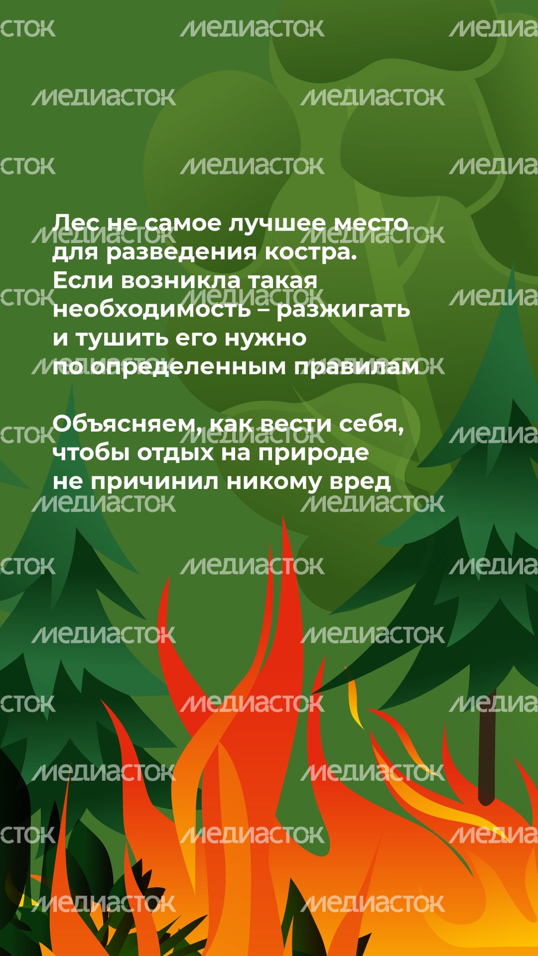 комлесхоз_костер_верт_2.jpg