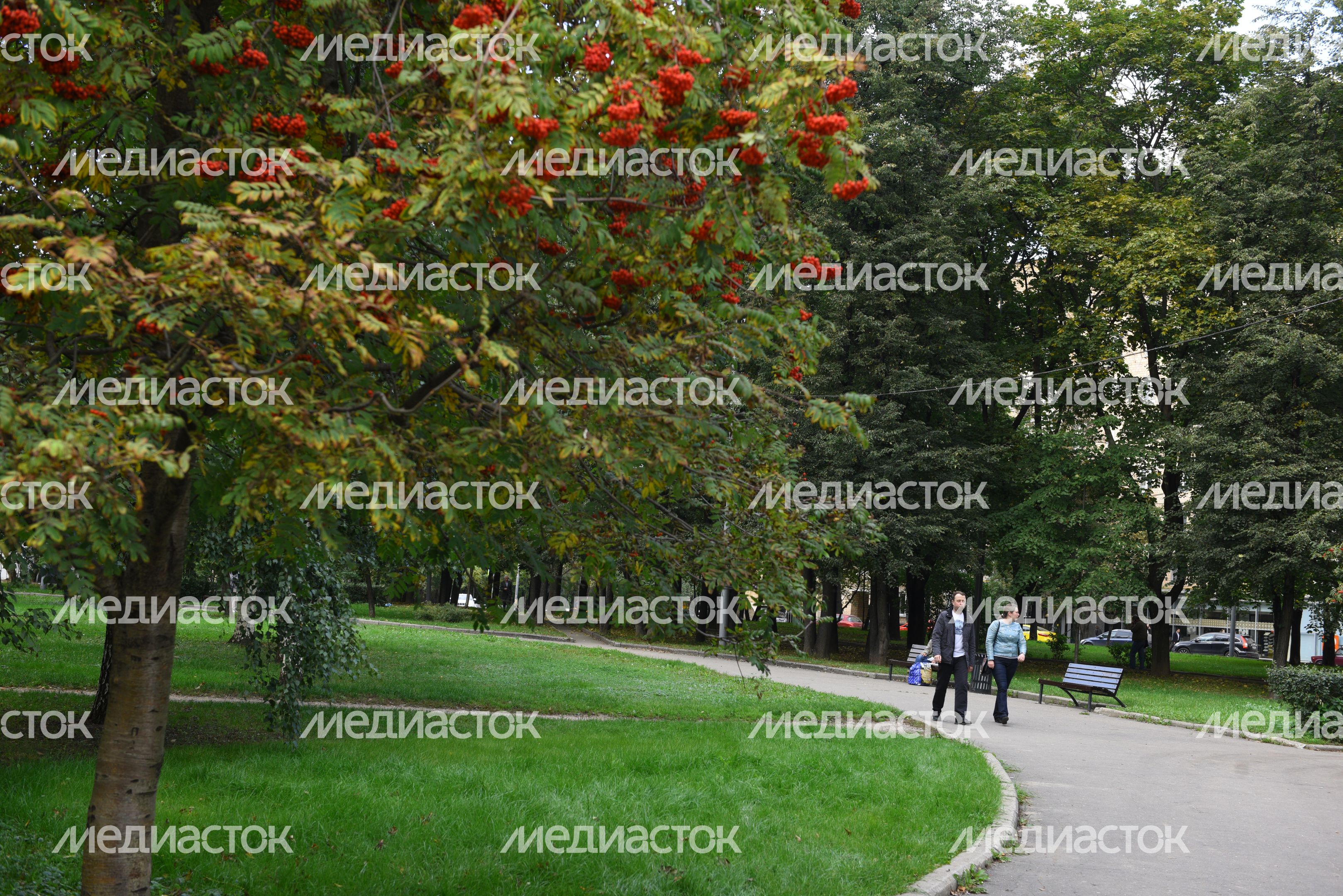 Парк Новодевичьи пруды в Москве