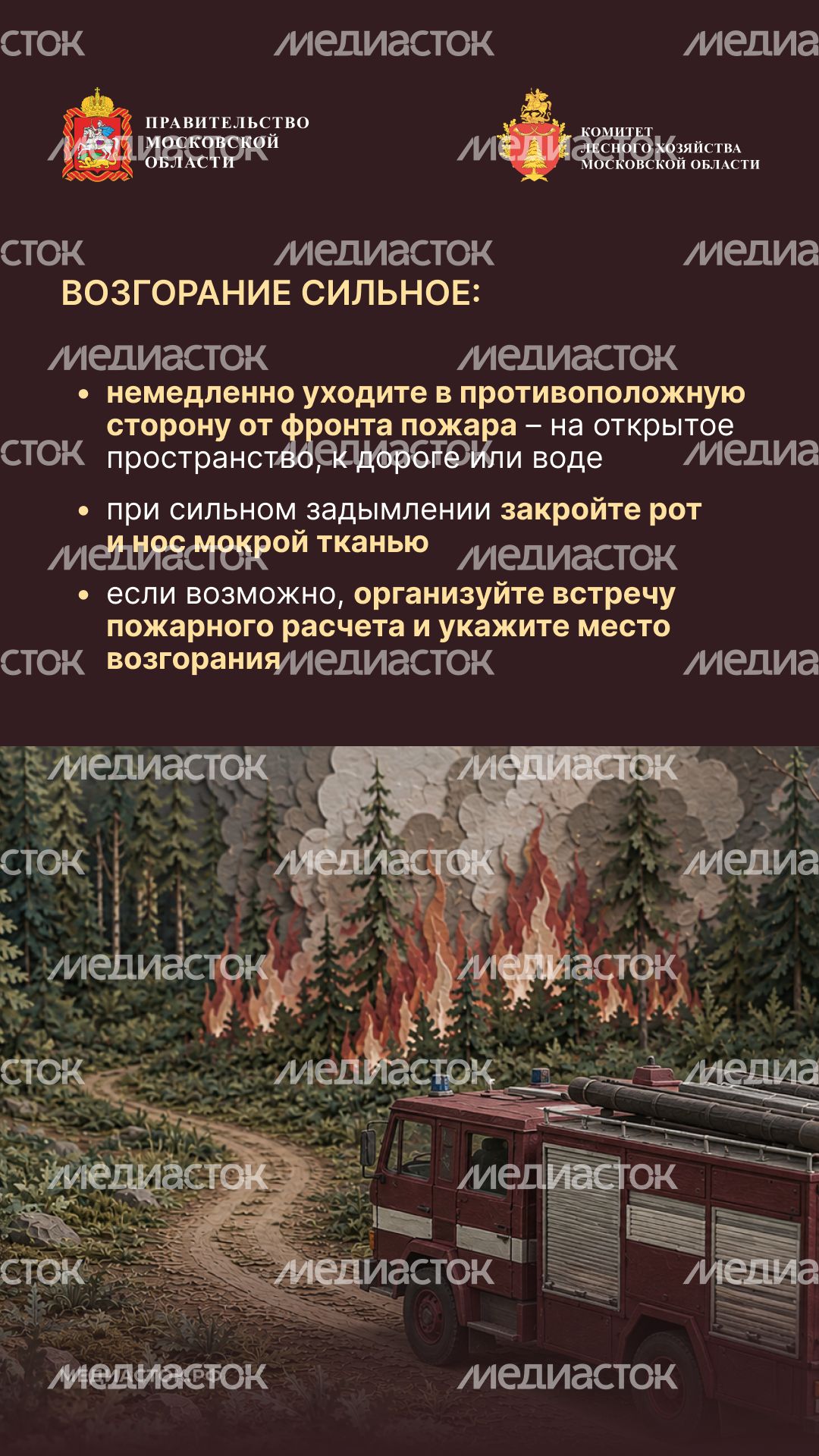 Живете рядом с лесом вертикаль 10